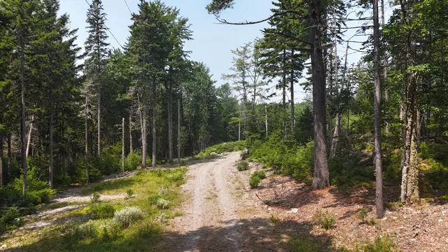 $335,000 | 1920 Highway 1, Sullivan, ME 04664
