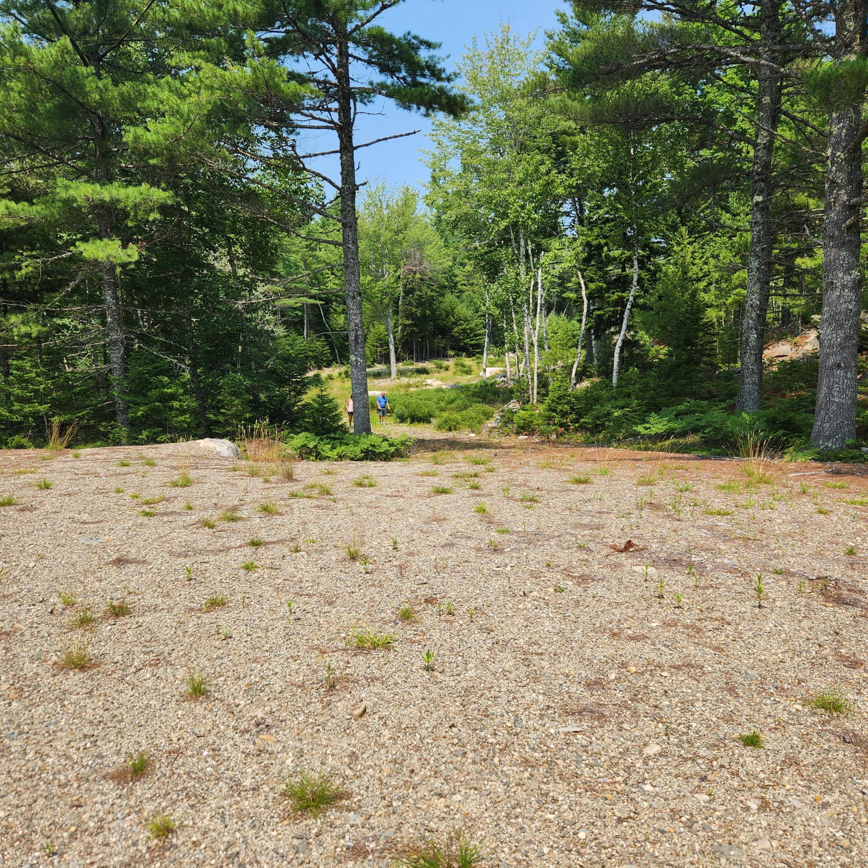 1920 Highway 1 Sullivan, ME 04664 - Photo 29 of 36 20240727_121631