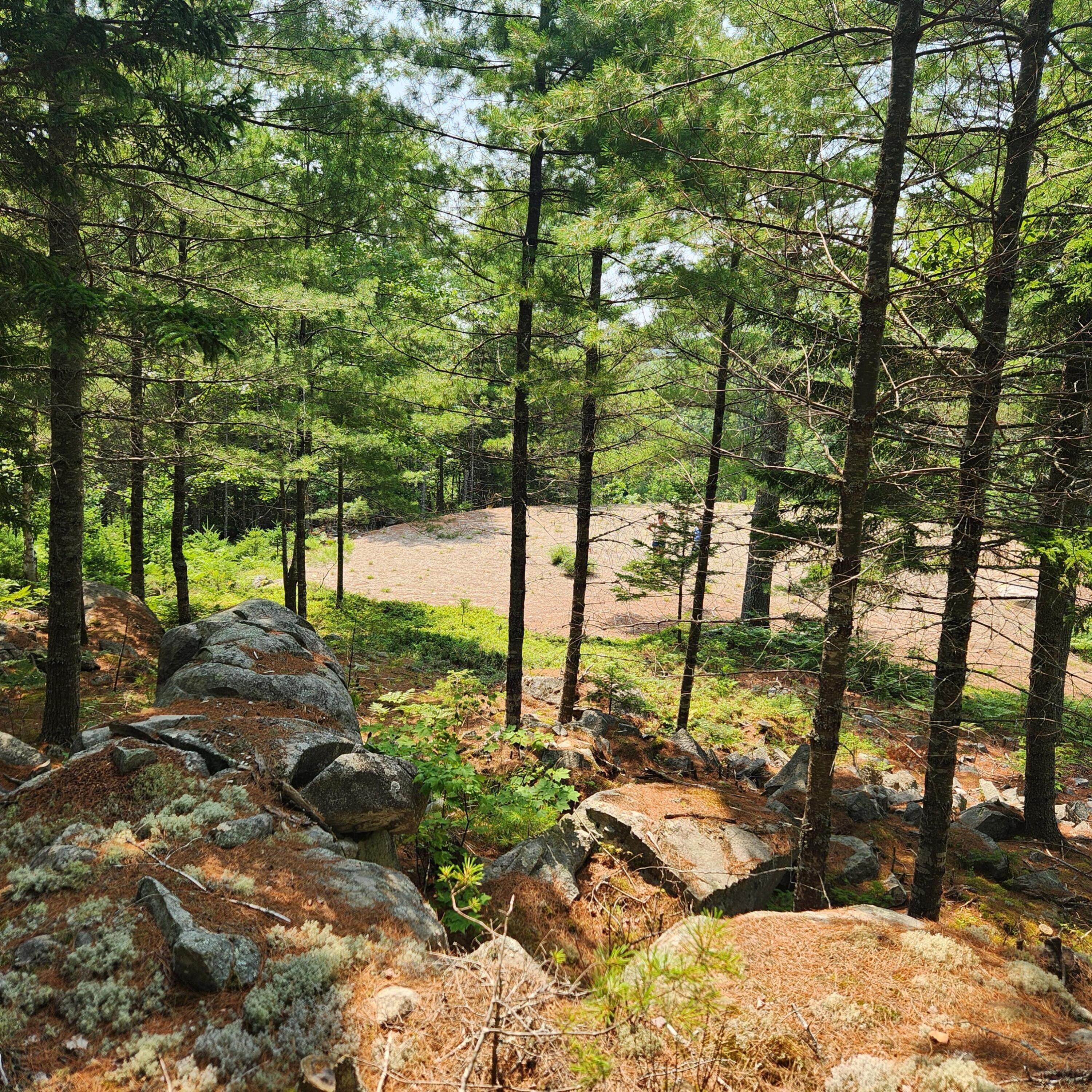 1920 Highway 1 Sullivan, ME 04664 - Photo 30 of 36 20240727_121733