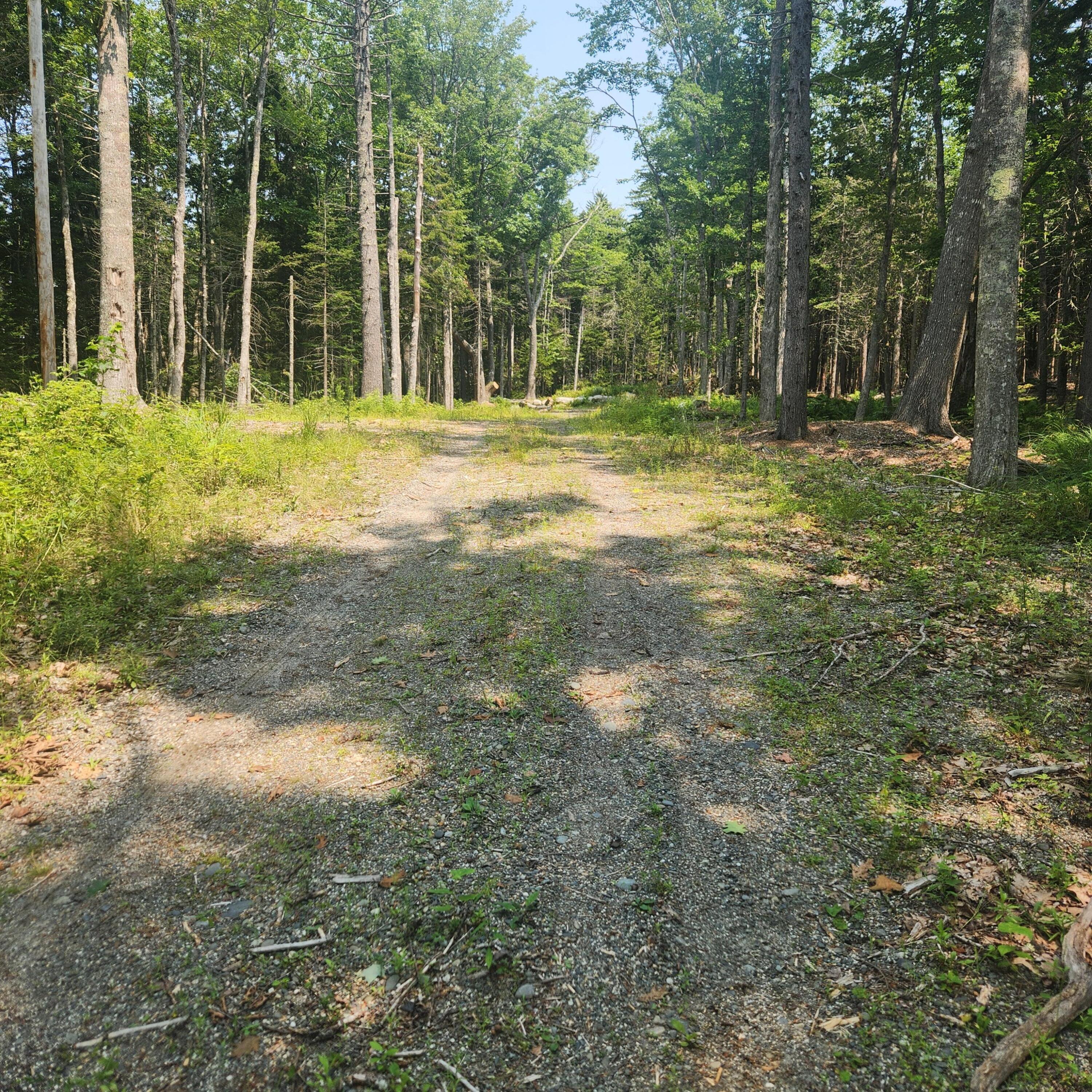 1920 Highway 1 Sullivan, ME 04664 - Photo 36 of 36 20240727_125027