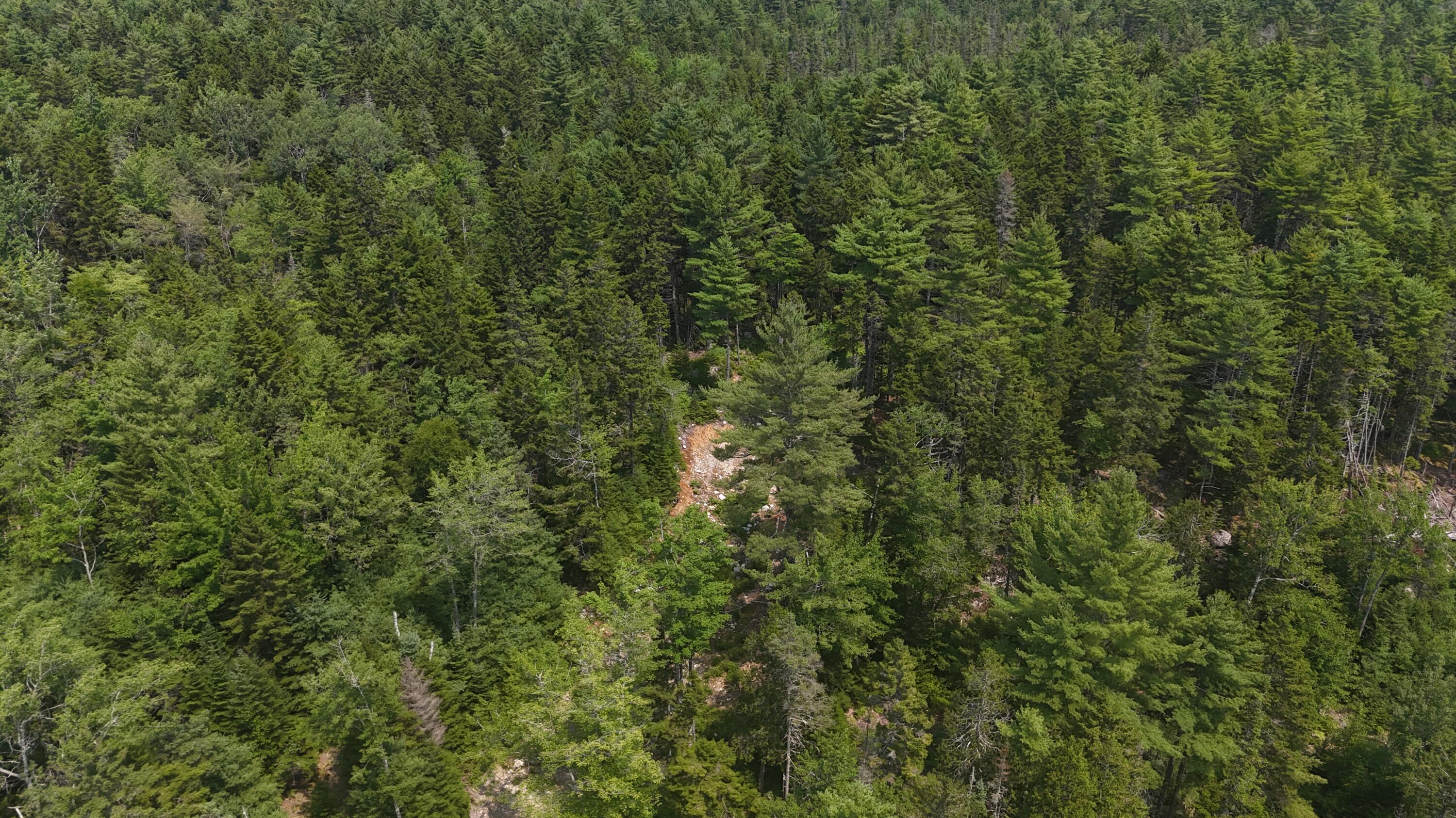 1920 Highway 1 Sullivan, ME 04664 - Photo 8 of 36 DJI_20240727123257_0133_D