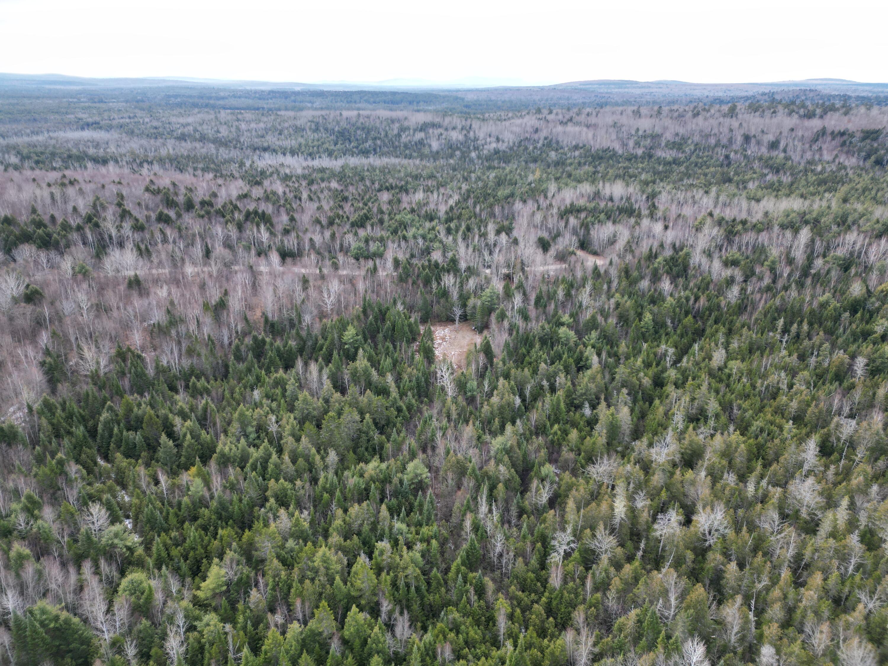 9 Upper Dobsis Road Lakeville, ME 04487 - Photo 16 of 29 DJI_0412