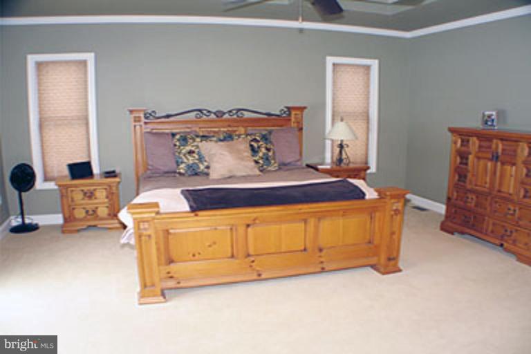9543 Liberty Road Frederick, MD 21701 - Photo 19 of 27 Master Bedroom