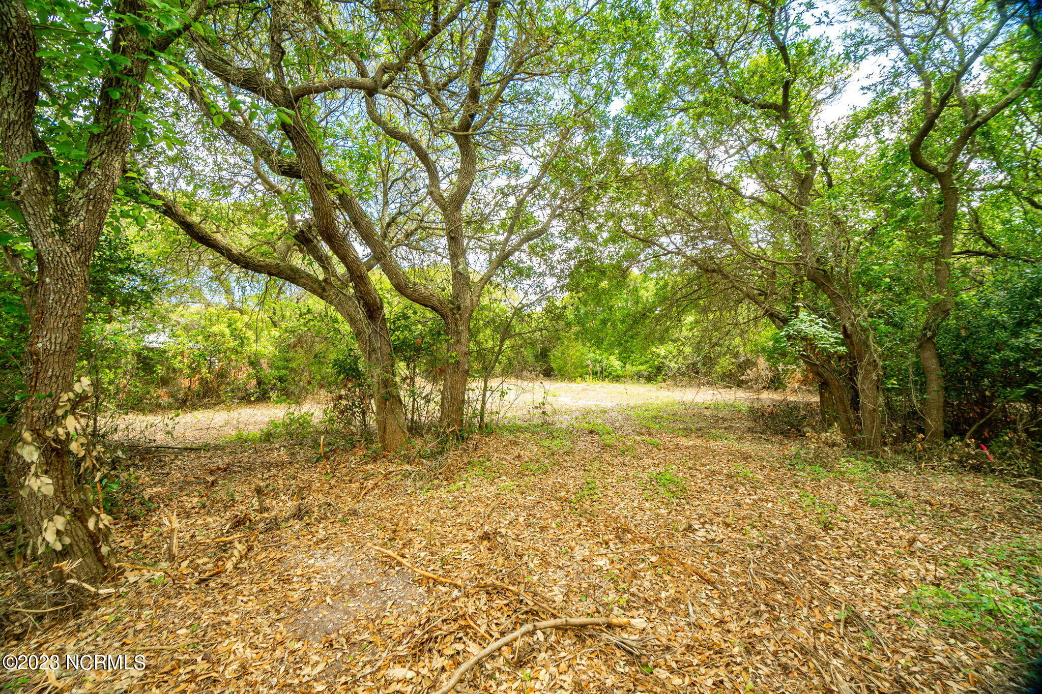 925 Salter Path Road Atlantic Beach, NC 28512 - Photo 3 of 25 Cleared lot in Hoffman Beach community