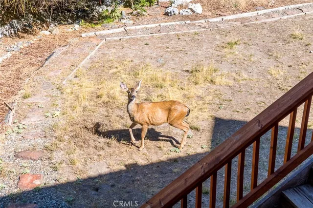 a view of balcony with wooden floor