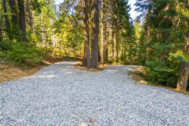 a view of outdoor space with large trees