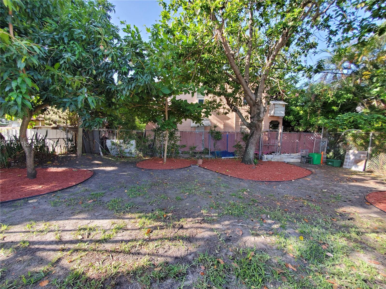 70 Northwest 33rd Street Miami, FL 33127 - Photo 48 of 48 a view of a yard with a tree