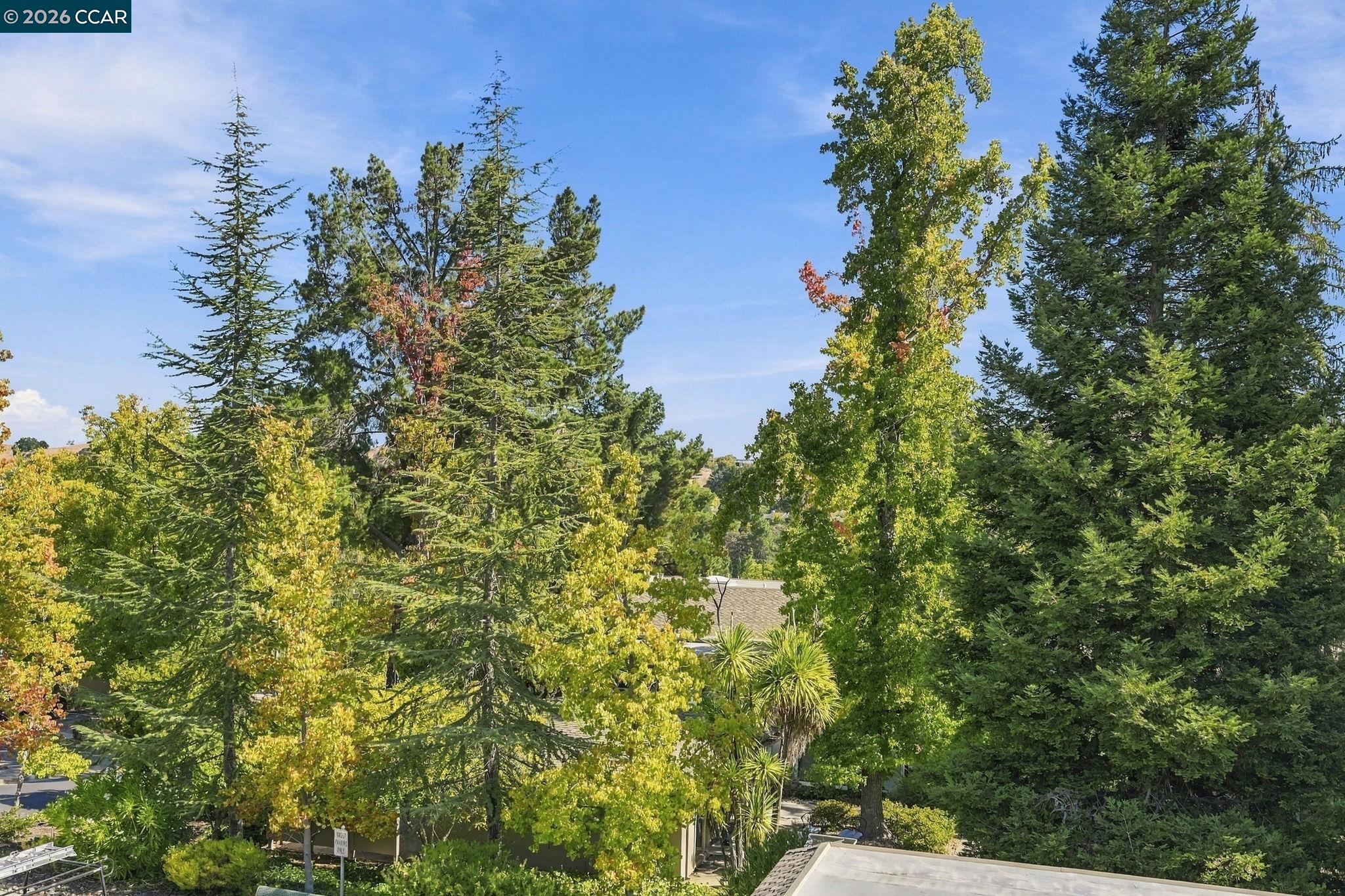 1209 Running Springs Road, Unit 5 Walnut Creek, CA 94595 - Photo 23 of 39 Gallery Image 23