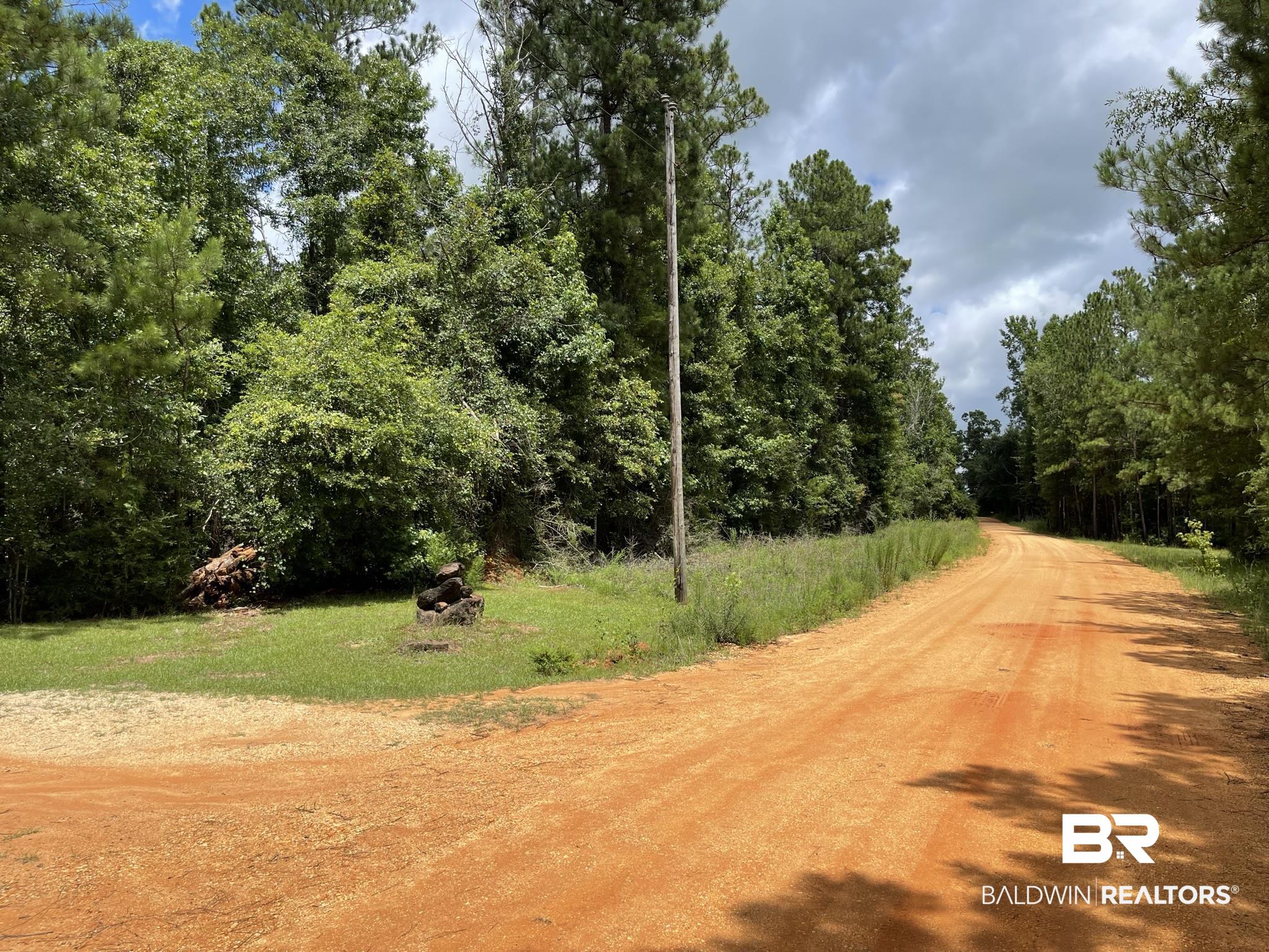 1 Friendship Road Flomaton, AL 36441 - Photo 1 of 13