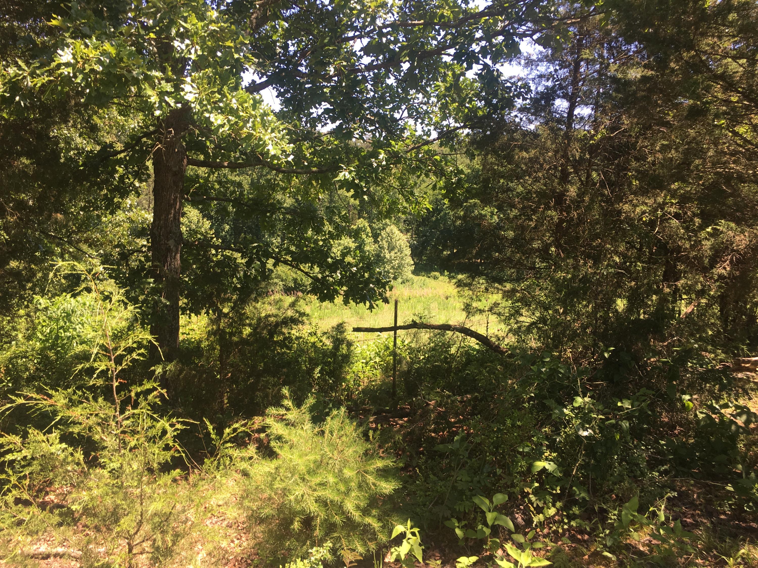 Old Kingston Road Loudon, TN 37774 - Photo 11 of 16 Photo Jun 04, 3 10 27 PM