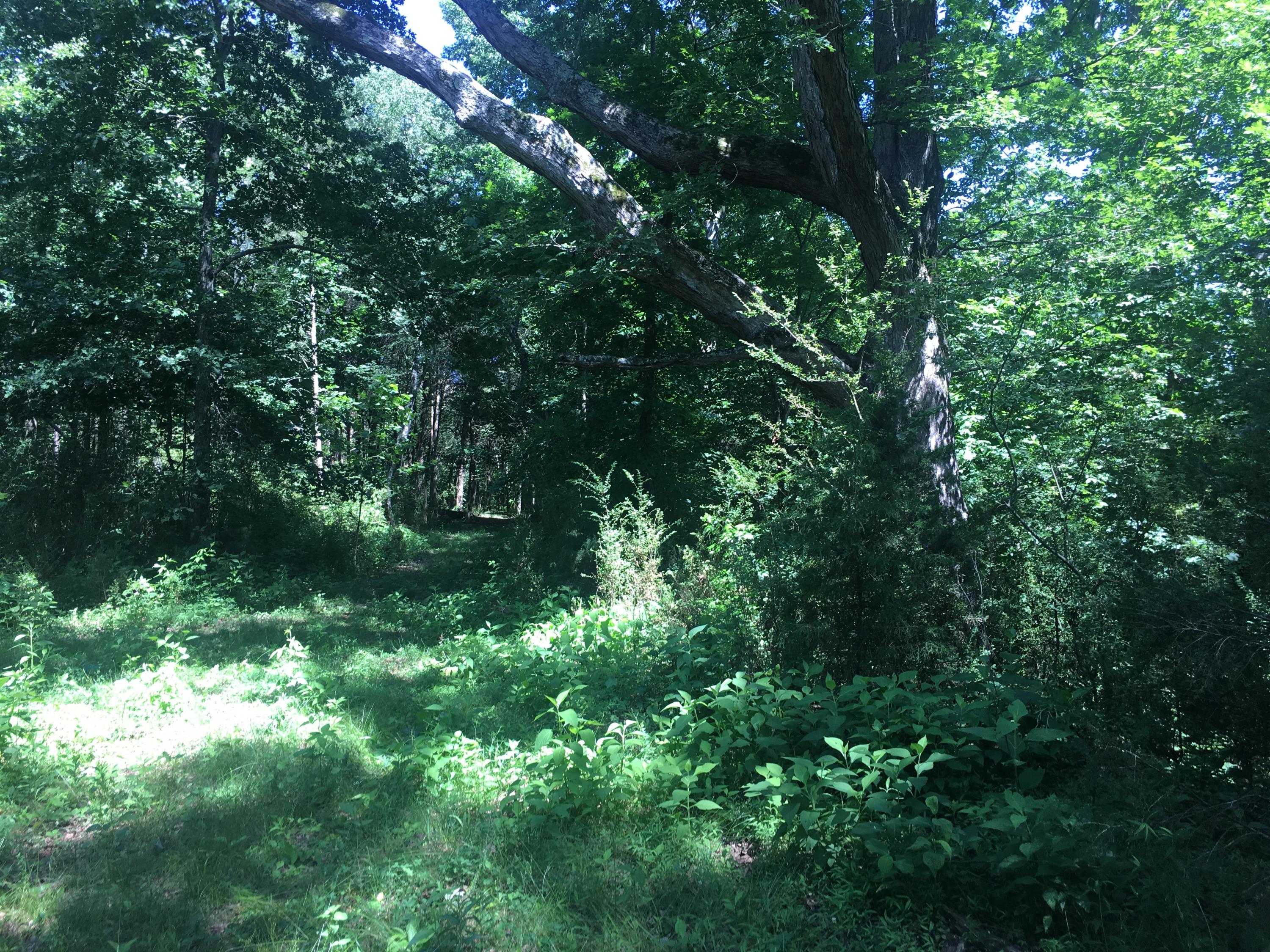 Old Kingston Road Loudon, TN 37774 - Photo 13 of 16 Photo Jun 04, 3 43 57 PM