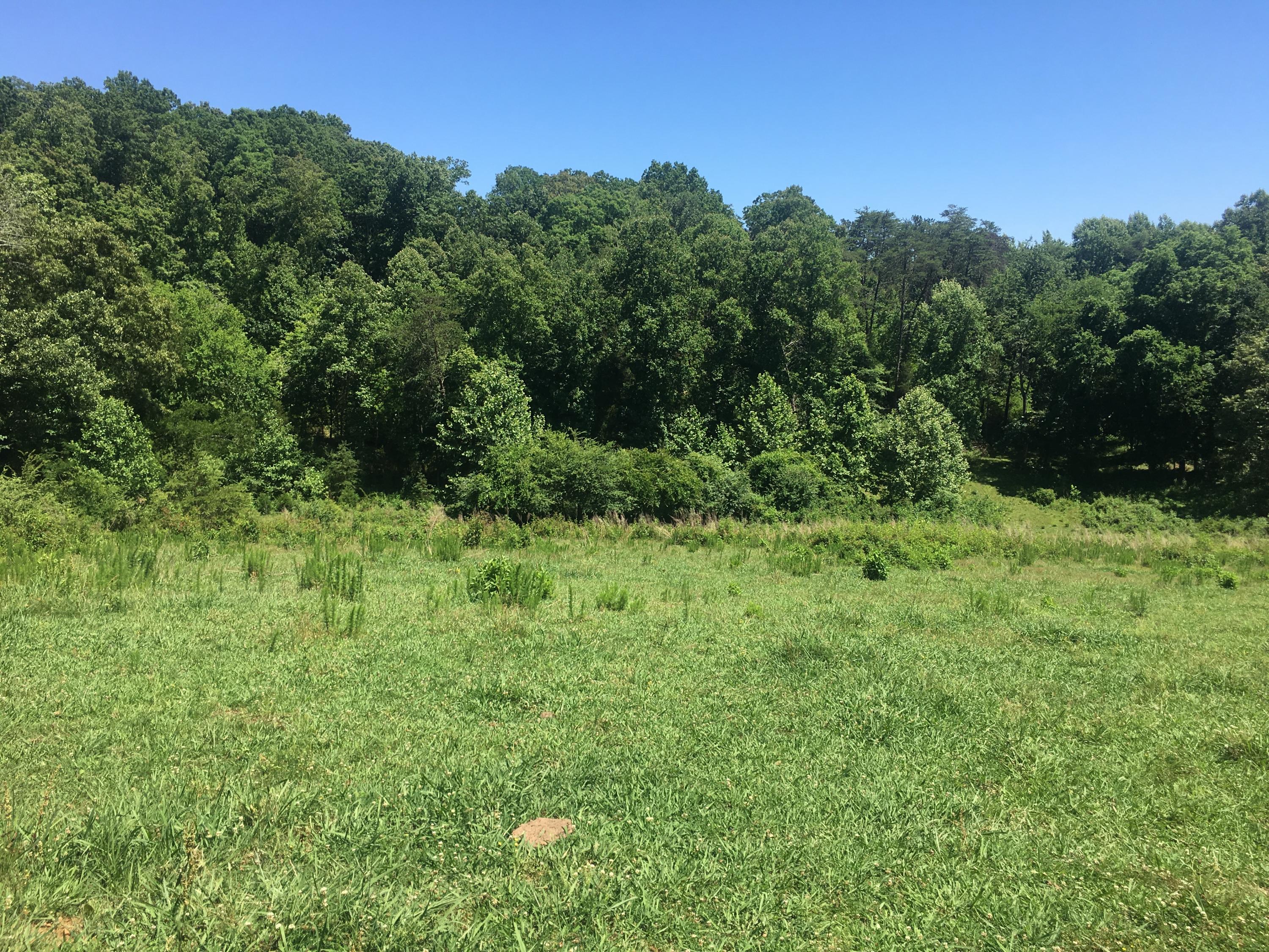 Old Kingston Road Loudon, TN 37774 - Photo 8 of 16 Photo Jun 04, 3 12 13 PM