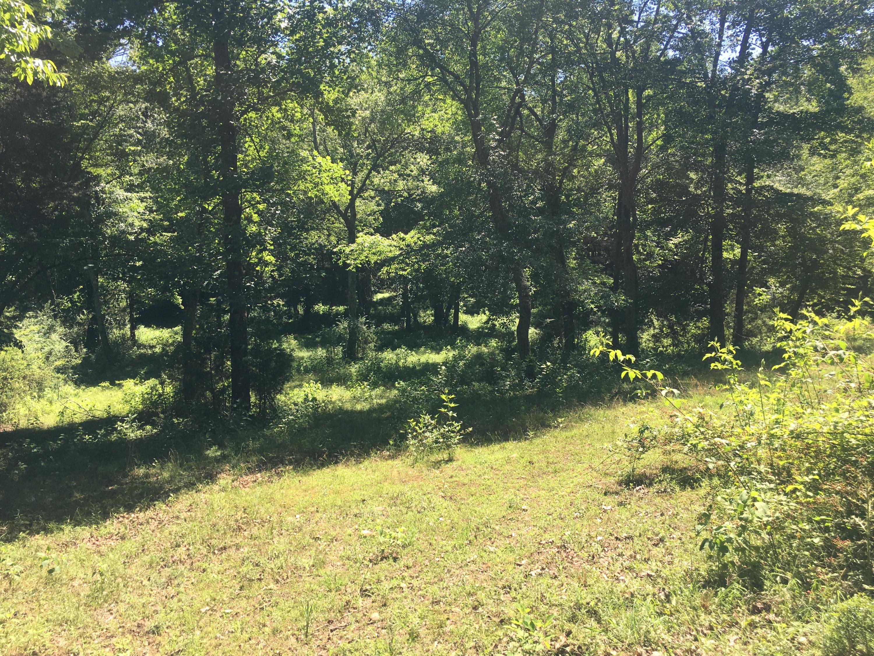 Old Kingston Road Loudon, TN 37774 - Photo 10 of 16 Photo Jun 04, 3 33 22 PM