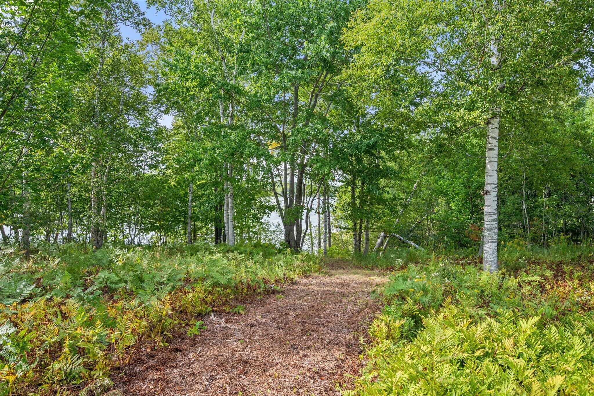 1187 Shore Road Lamoine, ME 04605 - Photo 47 of 52 47-1187 Shore Rd