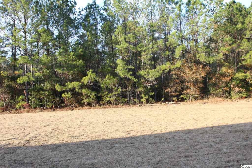 5157 Huston Road Conway, SC 29526 - Photo 23 of 35 Gallery Image 23