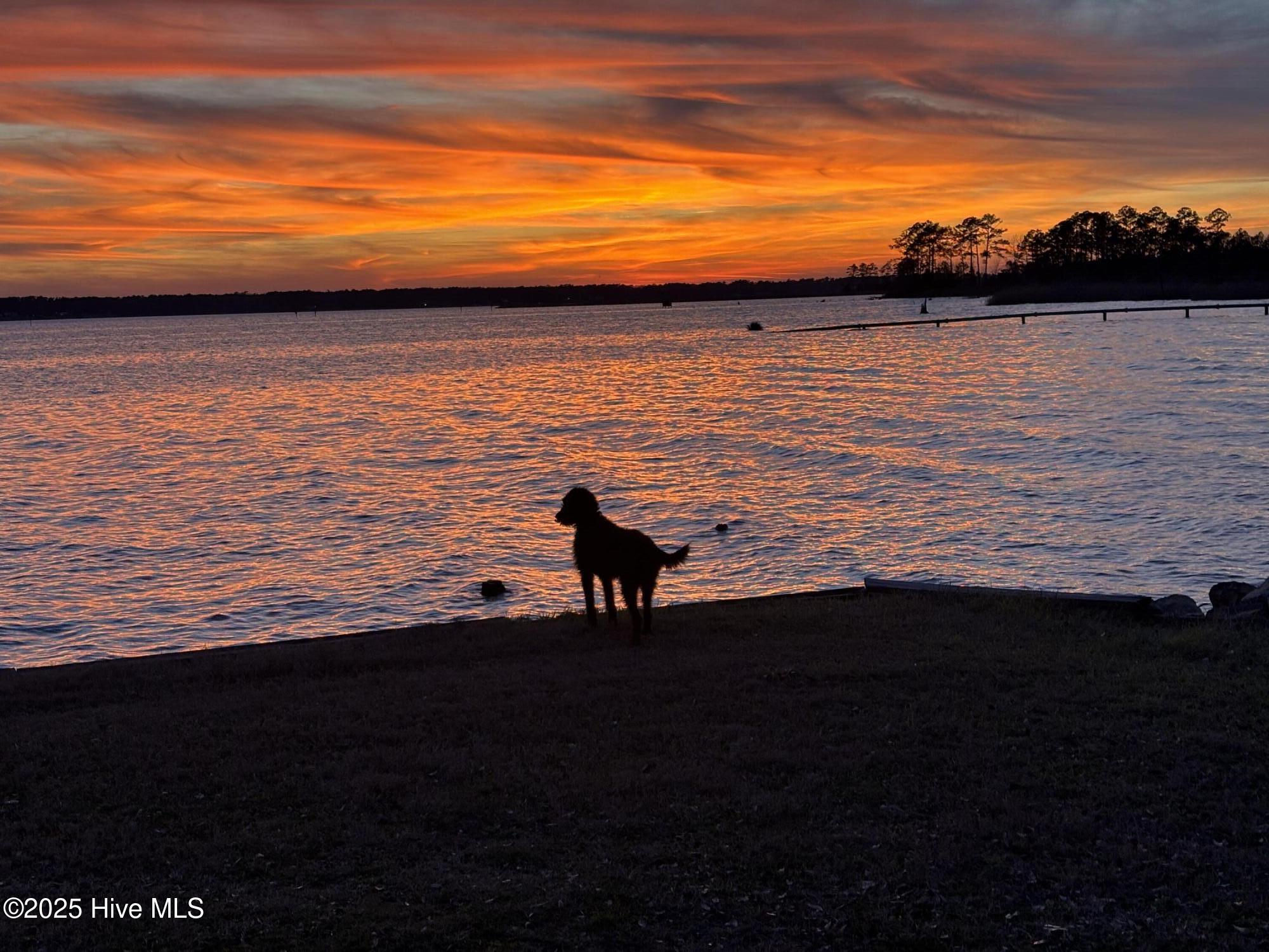 175 Broad Creek Road New Bern, NC 28560 - Photo 5 of 15 IMG_9136