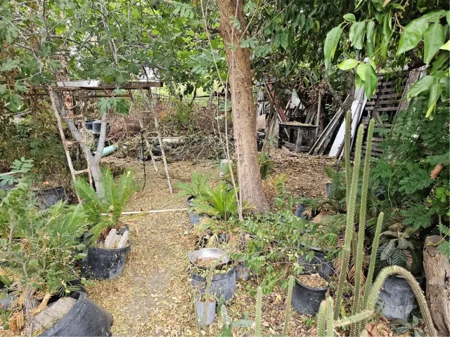 a view of yard with seating space