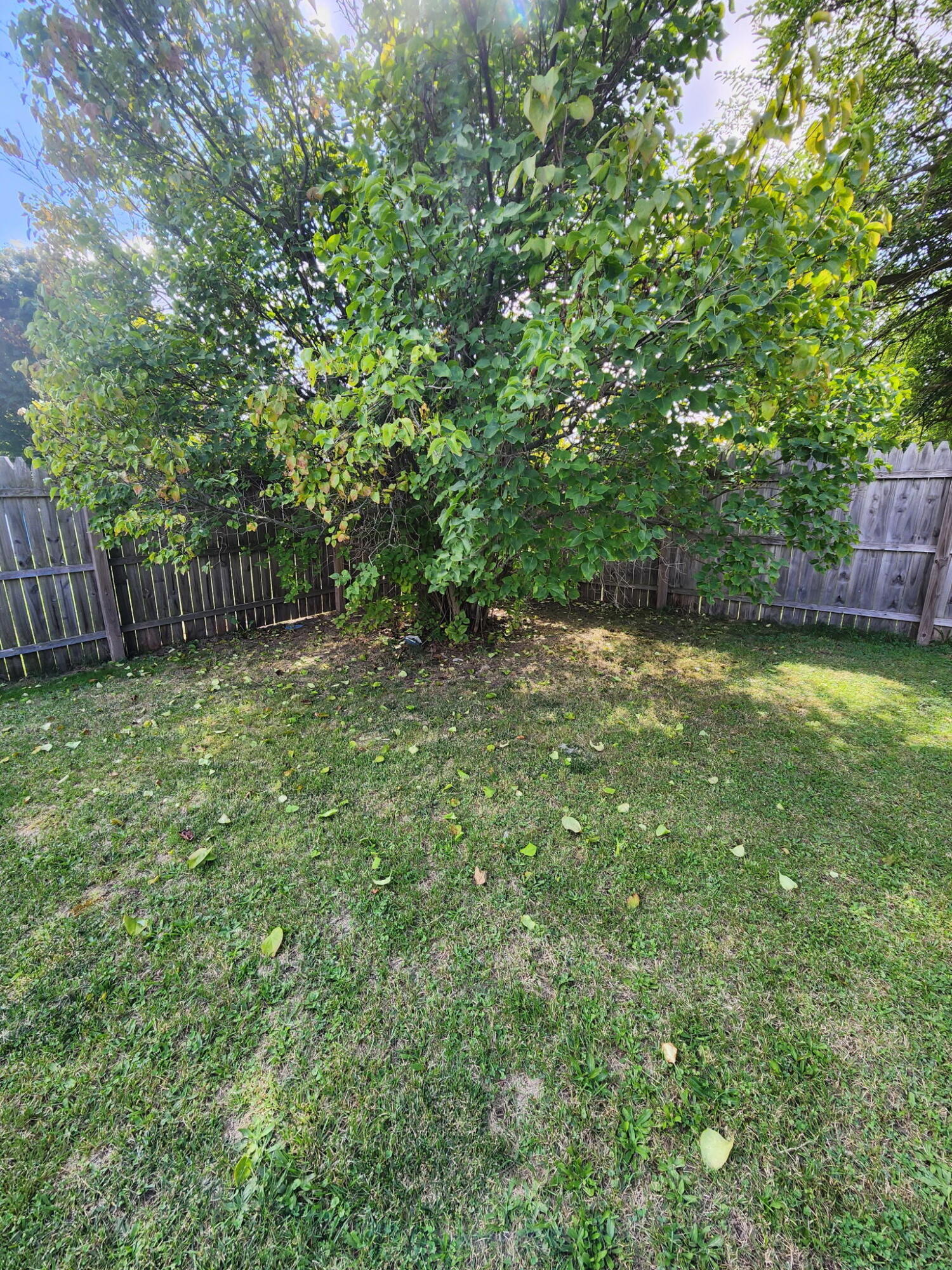 802 Parker Street Crystal, MI 48818 - Photo 23 of 30 9069386670390228405