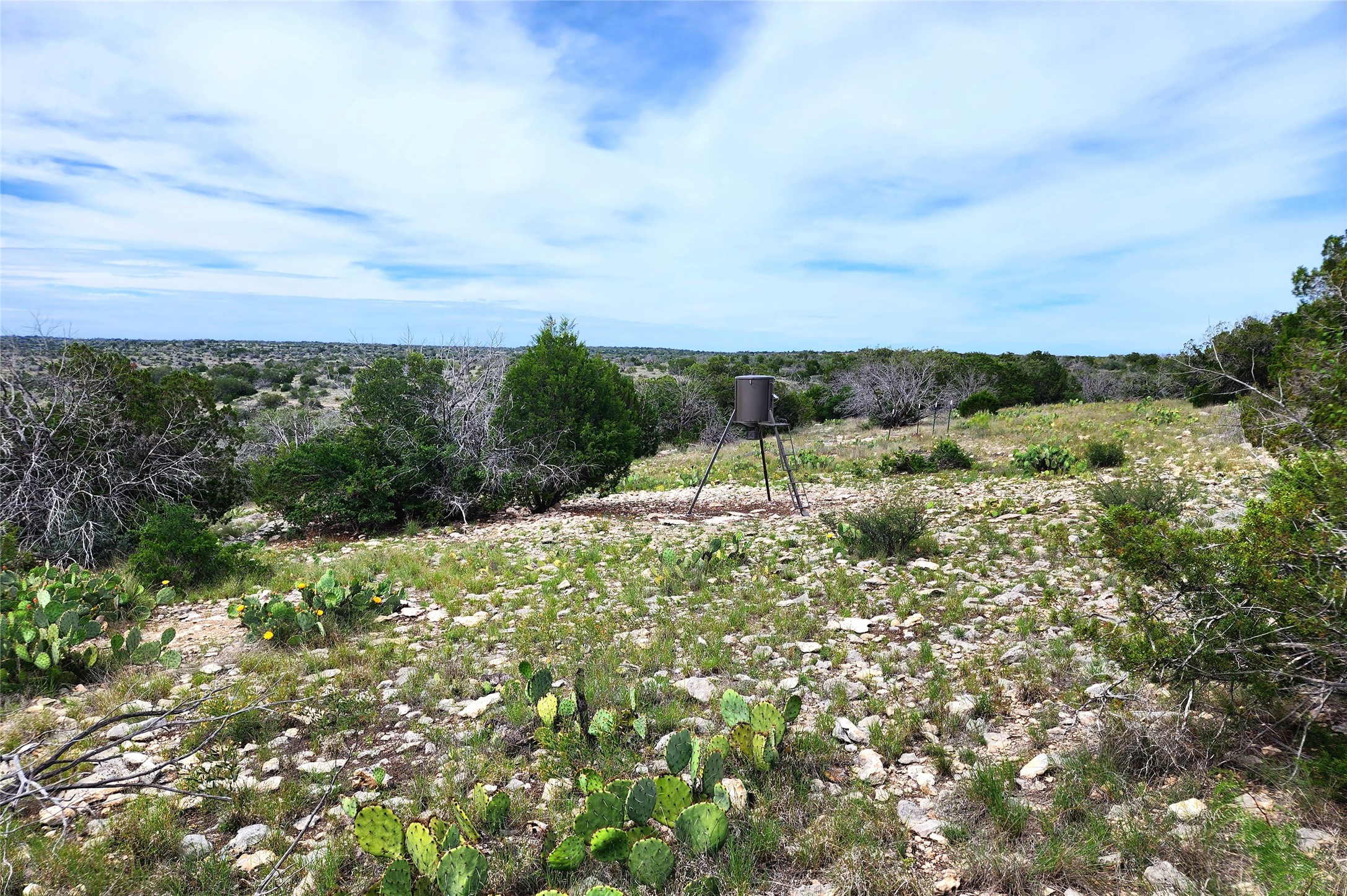 0 Peck Road Comstock, TX 78837 - Photo 11 of 24 a view of a field with a tree in the background