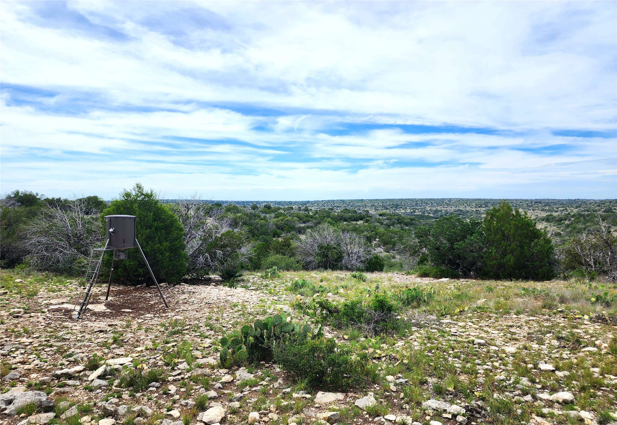 0 Peck Road Comstock, TX 78837 - Photo 12 of 24