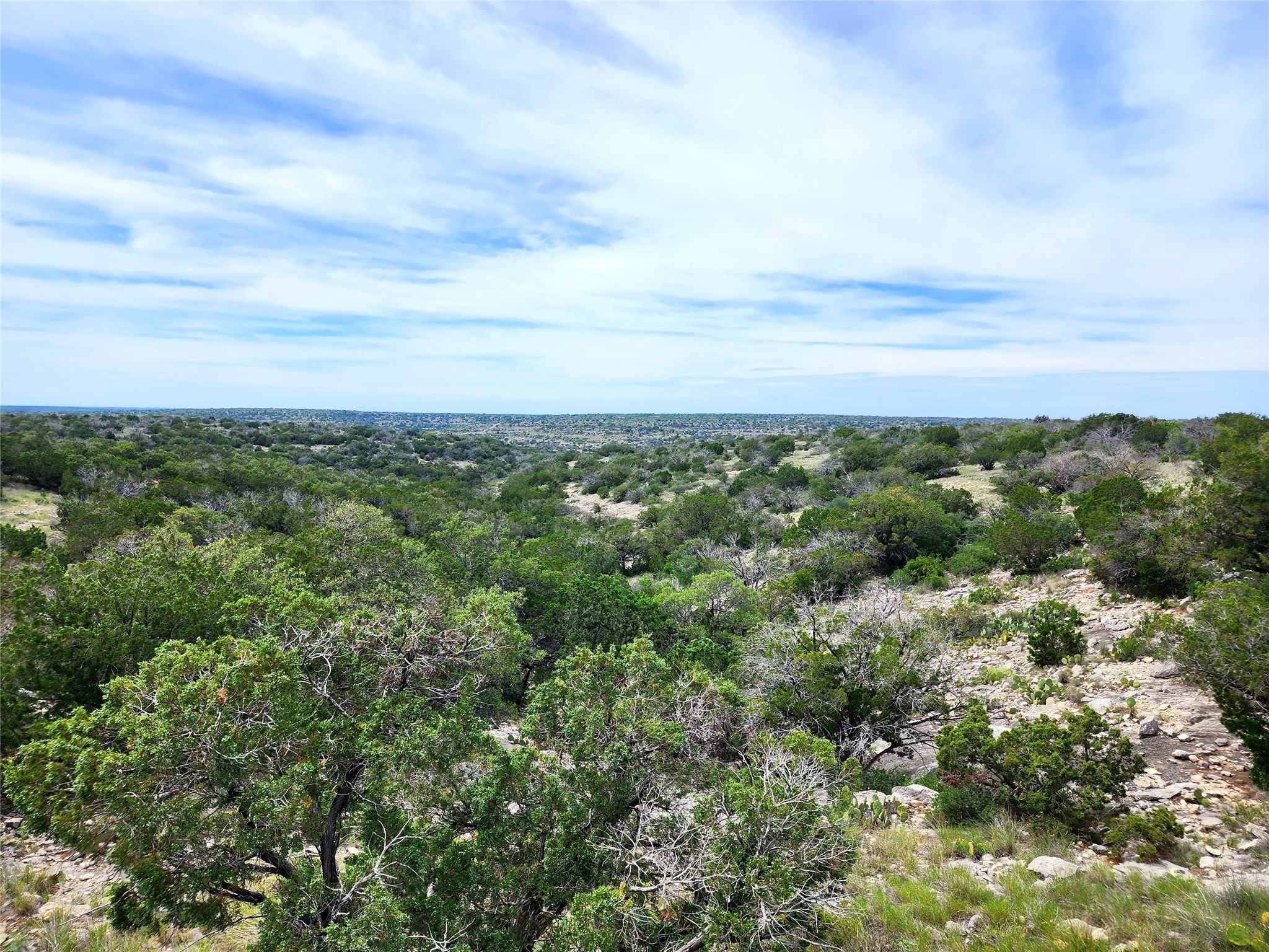 0 Peck Road Comstock, TX 78837 - Photo 15 of 24 an aerial view of houses covered in trees