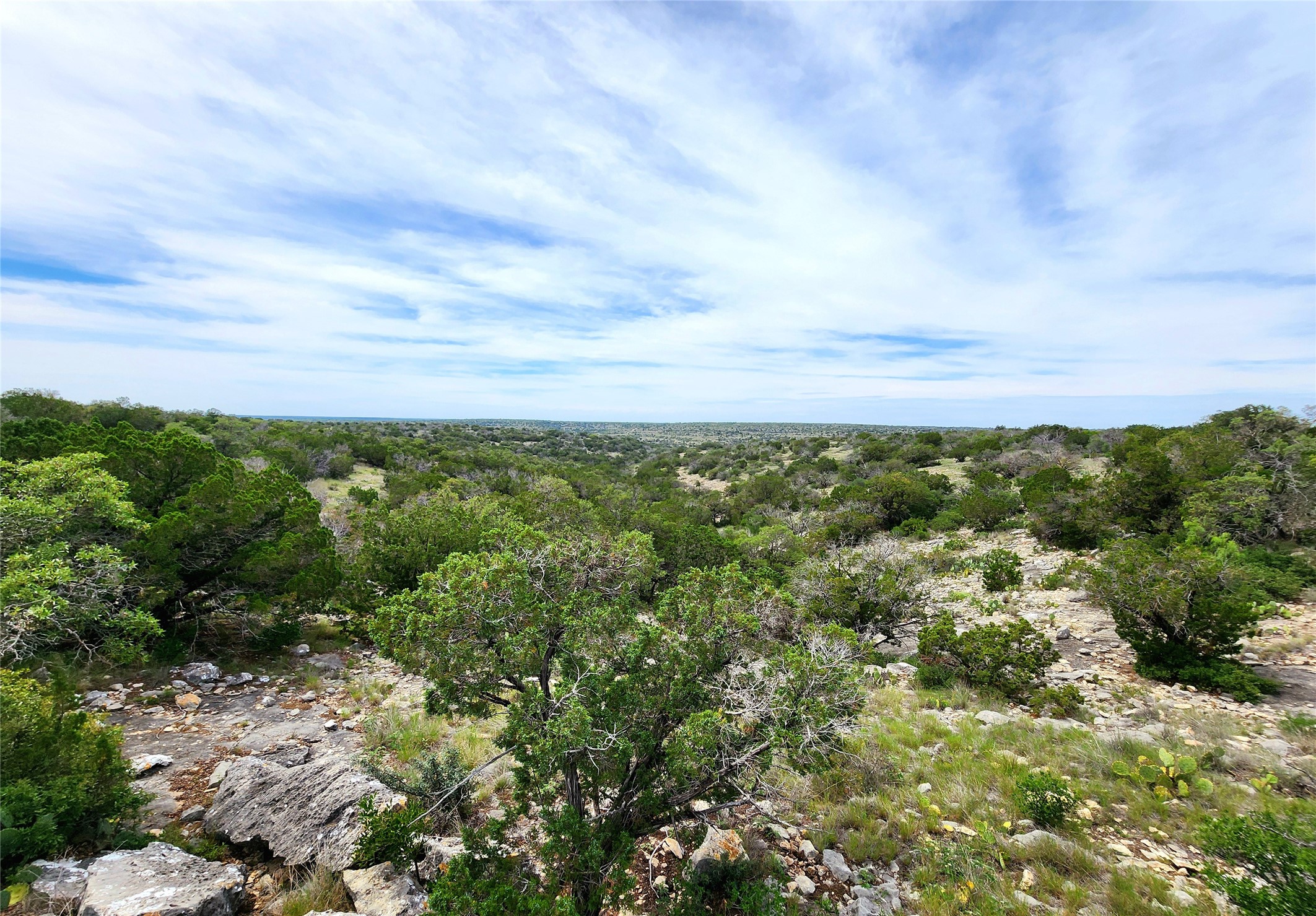 0 Peck Road Comstock, TX 78837 - Photo 16 of 24 a view of a city with lush green forest
