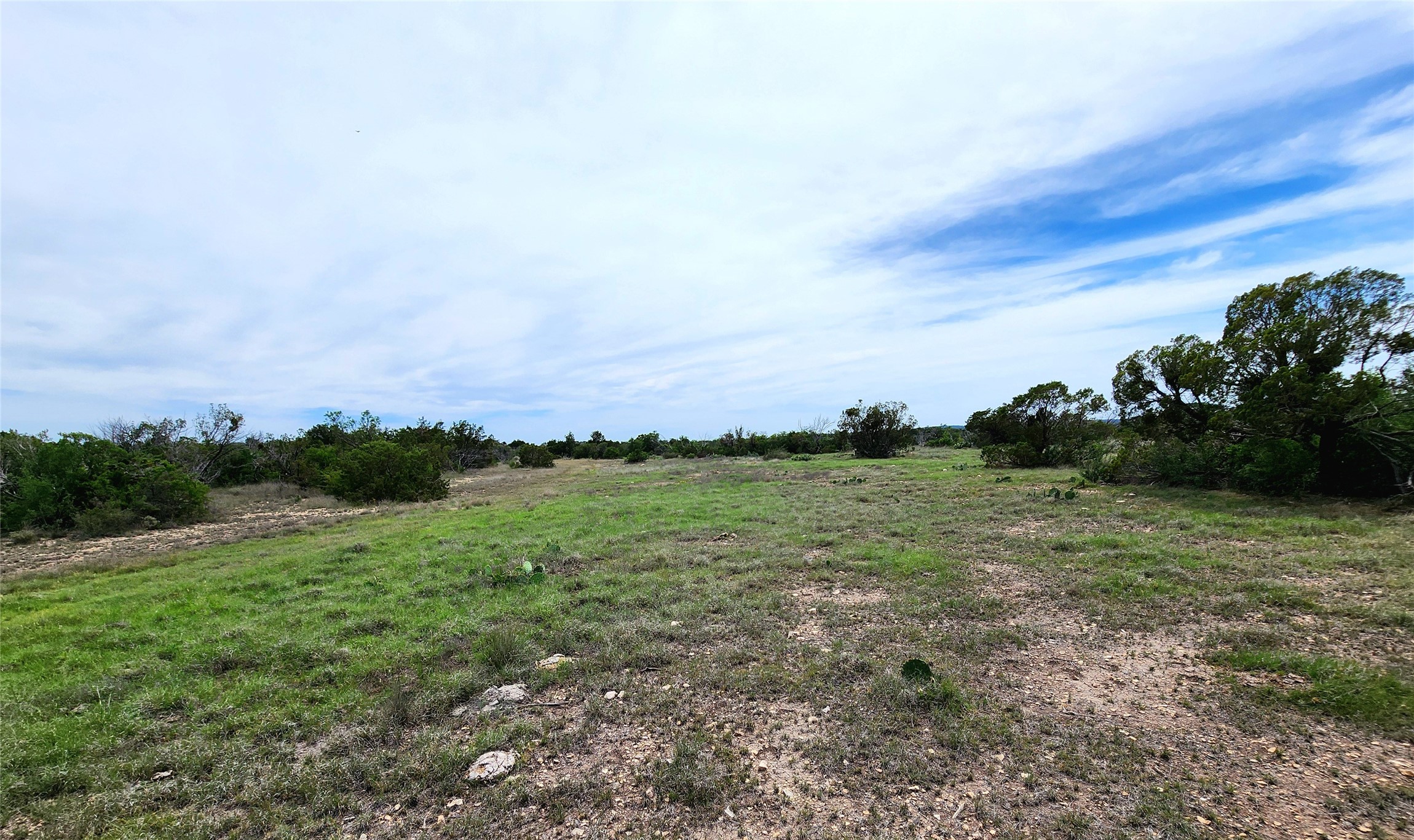 0 Peck Road Comstock, TX 78837 - Photo 18 of 24 a view of a field with an trees