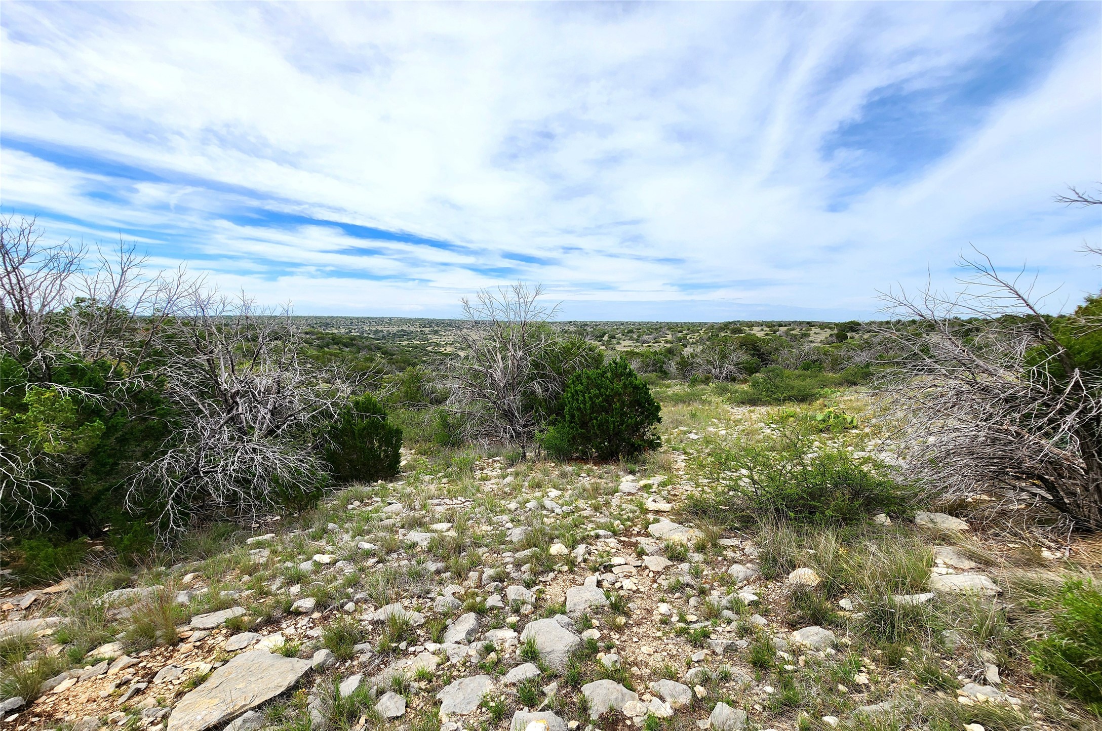 0 Peck Road Comstock, TX 78837 - Photo 19 of 24 a view of a yard with wooden fence