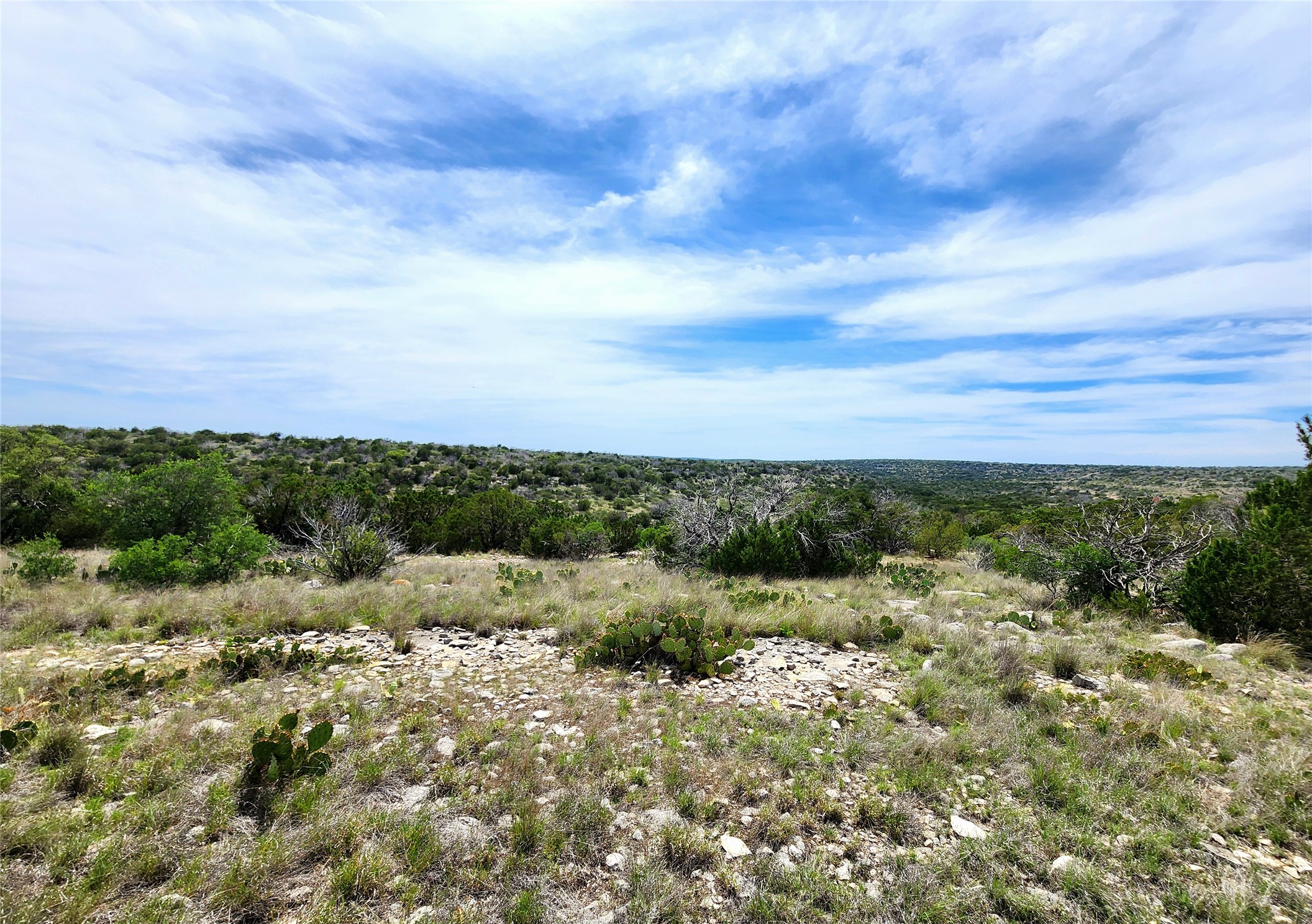 0 Peck Road Comstock, TX 78837 - Photo 20 of 24 a view of a bunch of trees in a field
