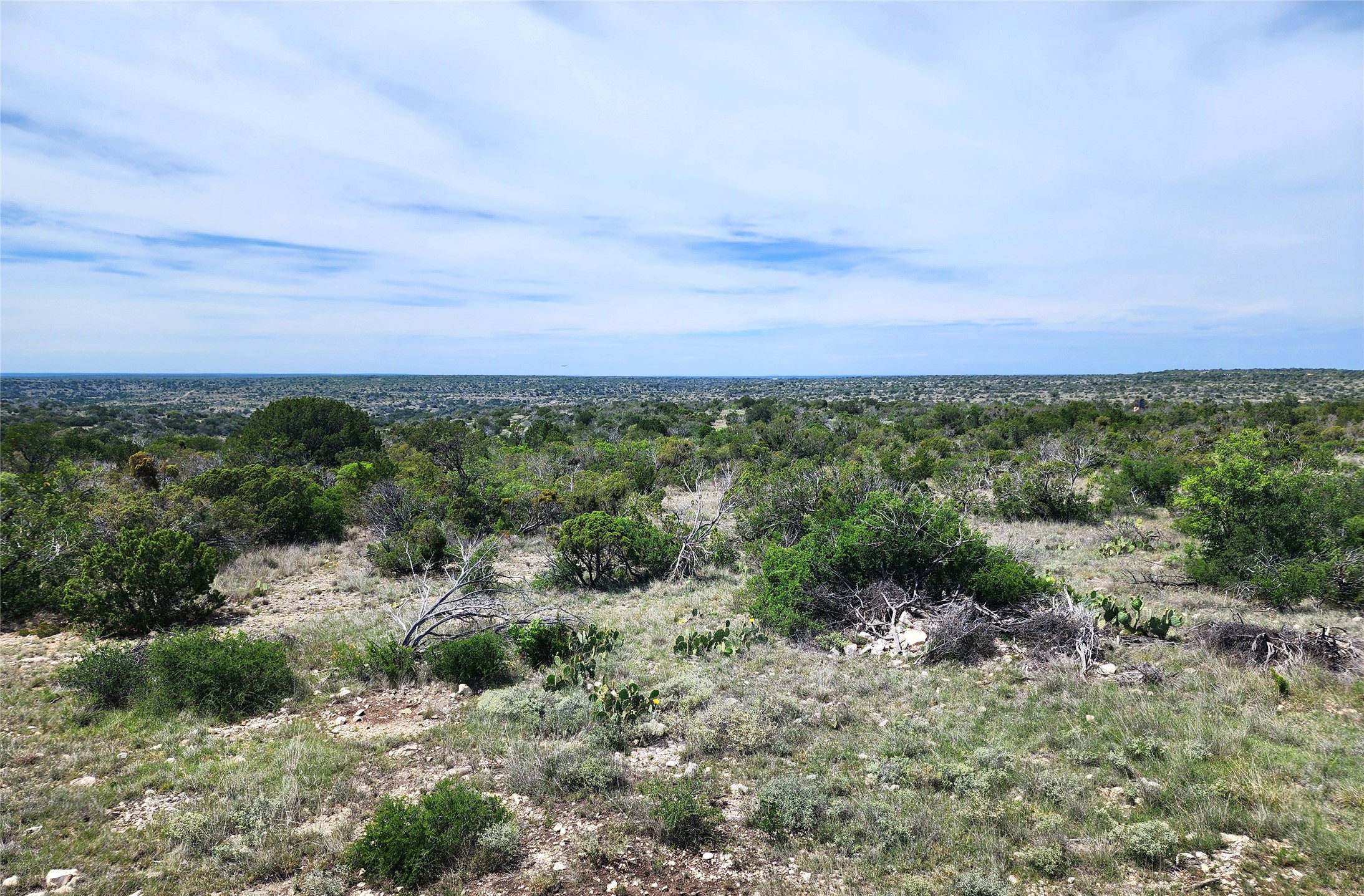 0 Peck Road Comstock, TX 78837 - Photo 2 of 24 a view of a green field