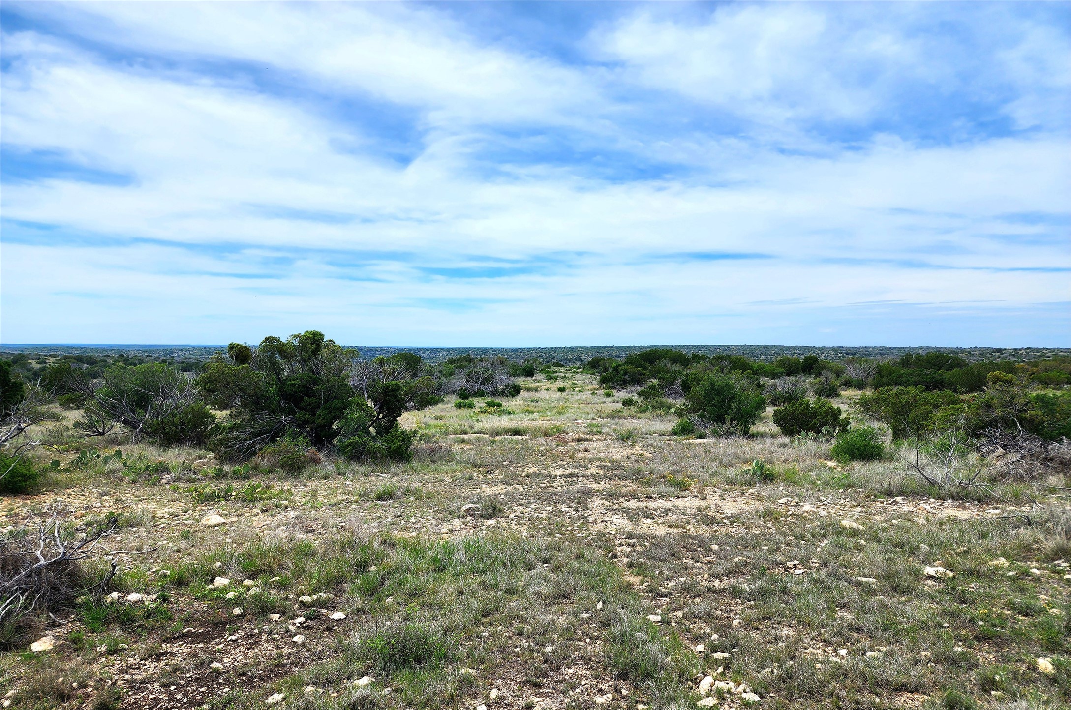 0 Peck Road Comstock, TX 78837 - Photo 22 of 24 a view of a big yard with lots of green space