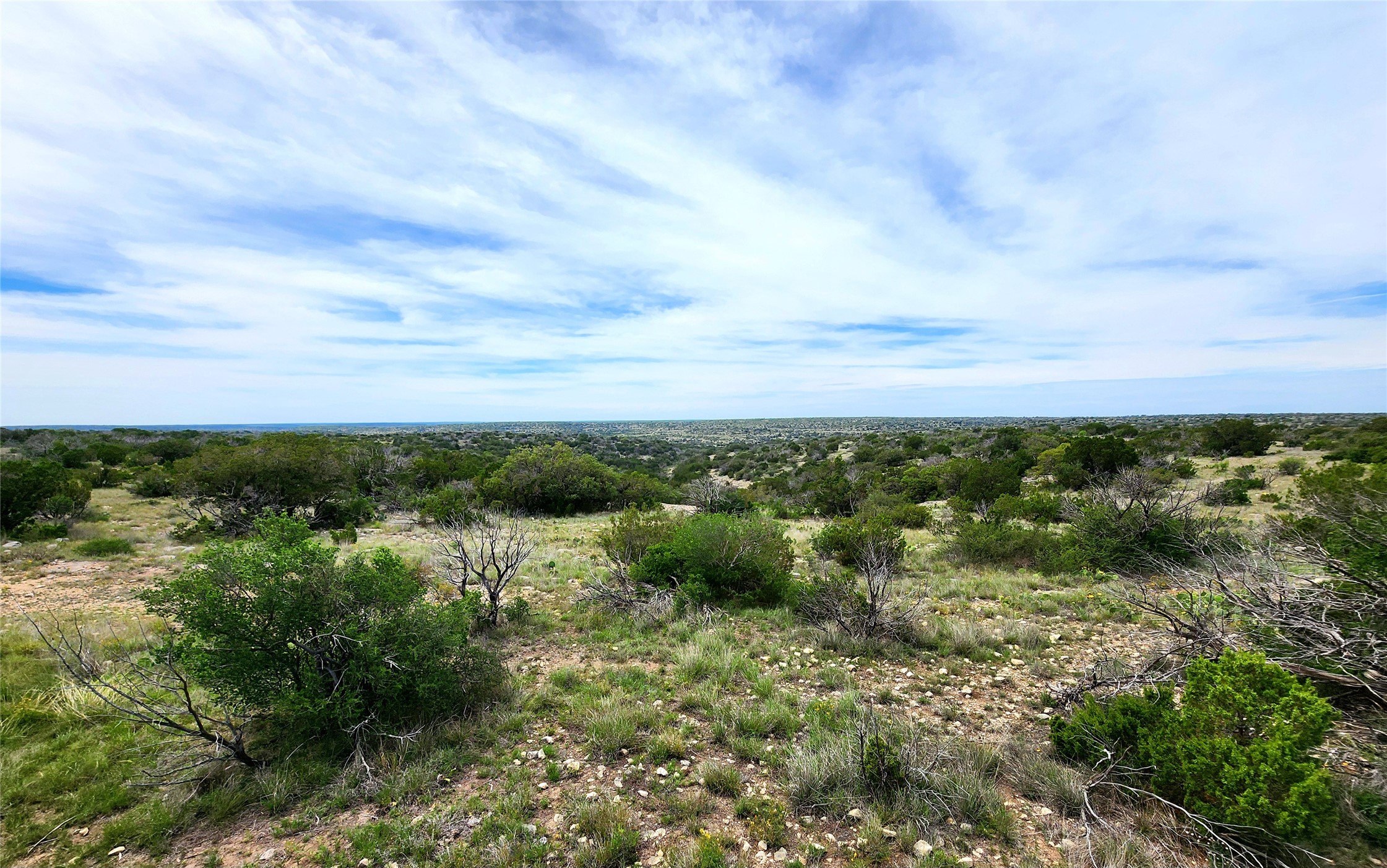 0 Peck Road Comstock, TX 78837 - Photo 24 of 24 a view of a green yard with large trees