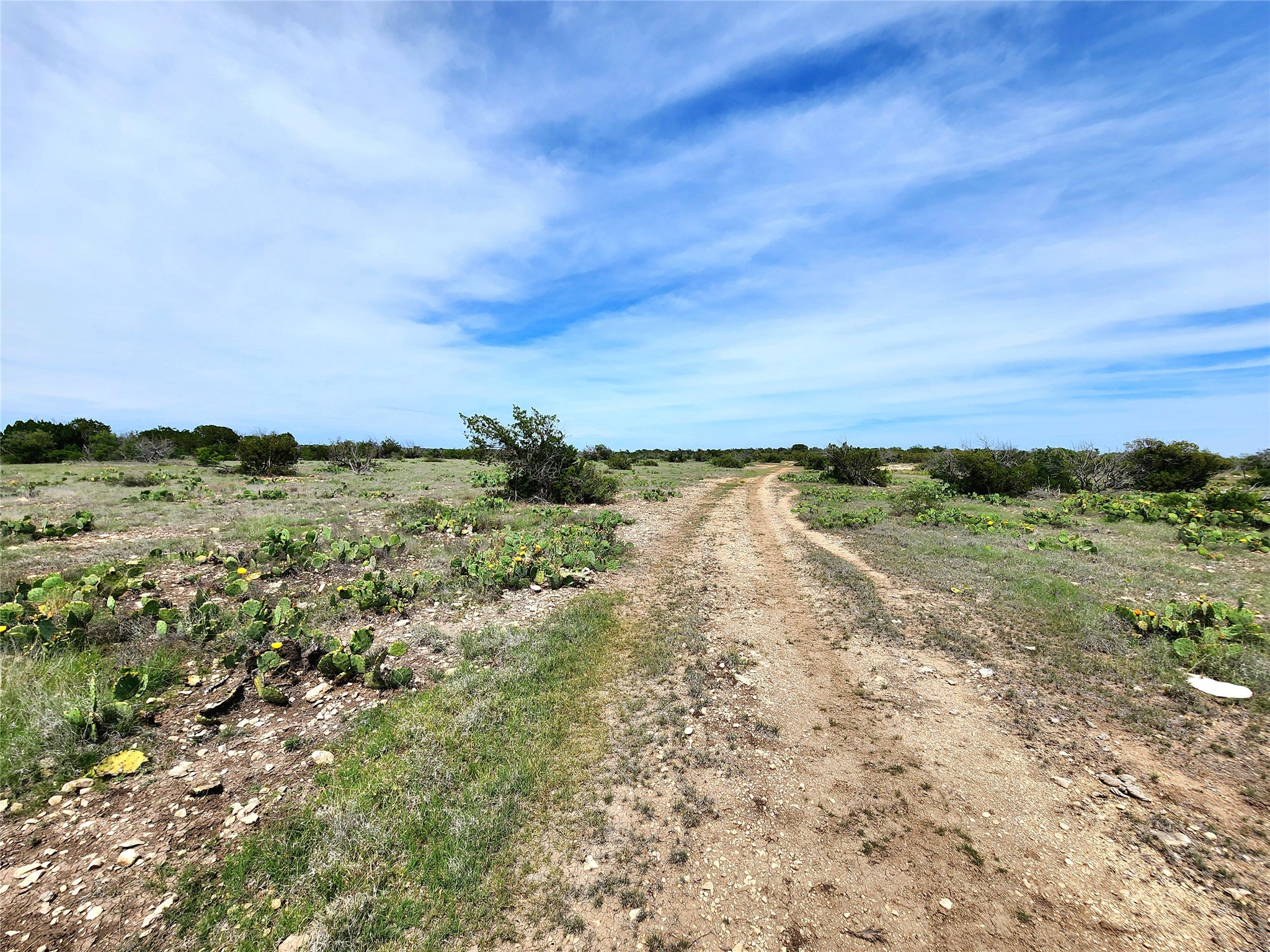 0 Peck Road Comstock, TX 78837 - Photo 8 of 24 a view of a yard with an outdoor space