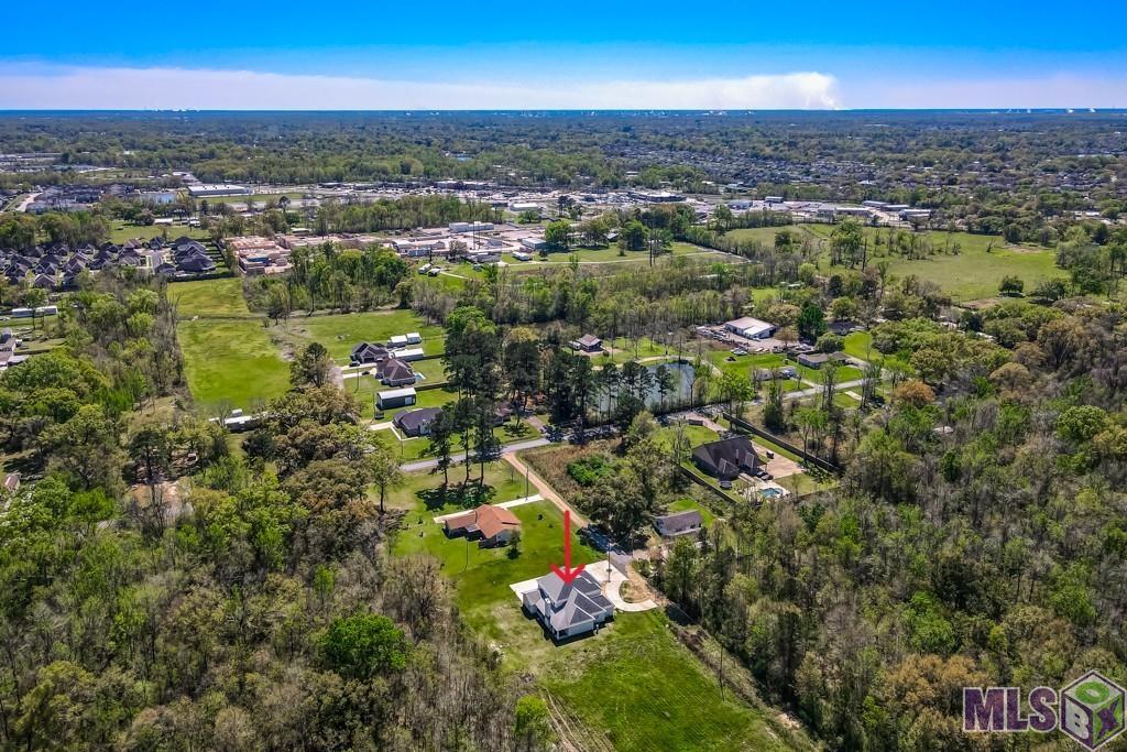 15030 Eugene Street Prairieville, LA 70769 - Photo 29 of 29