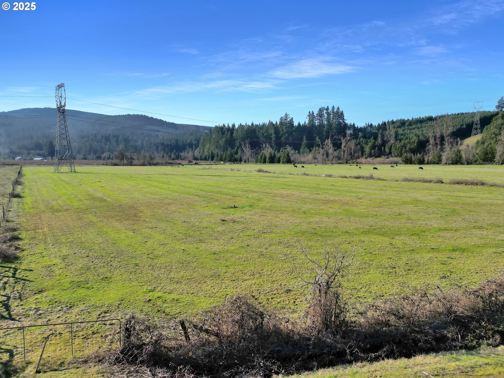 Upper Camp Creek Road Springfield, OR 97478 - Photo 9 of 16