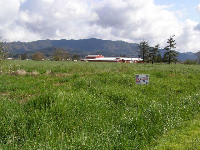 Vl Hadley Road North Tillamook, OR 97141 - Photo 4 of 18 Prop&MtnView.JPG