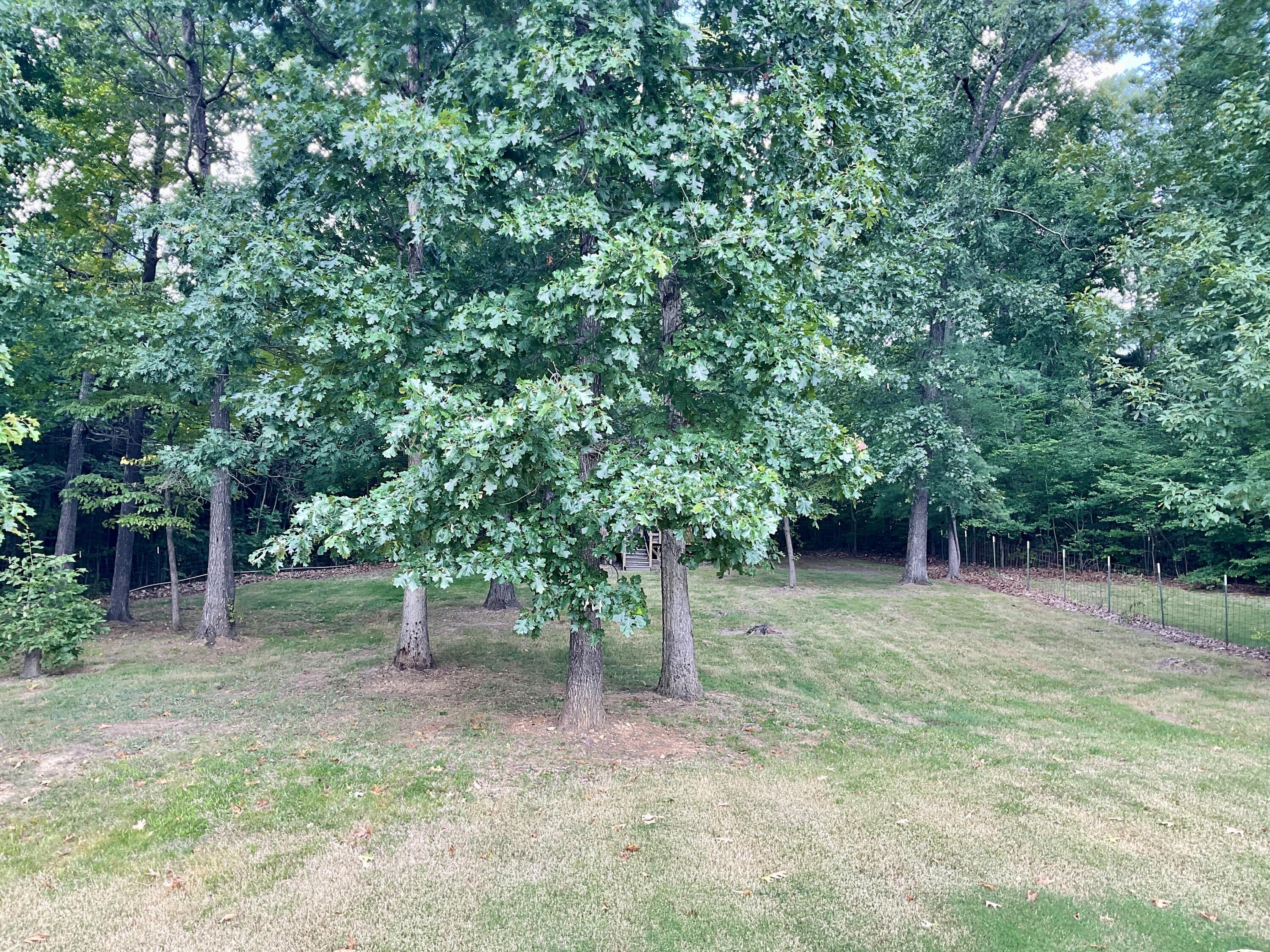 172 Warrensburg Road Greeneville, TN 37743 - Photo 7 of 64 IMG_053