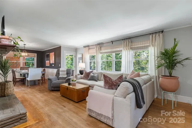 a living room with furniture potted plant and a large window