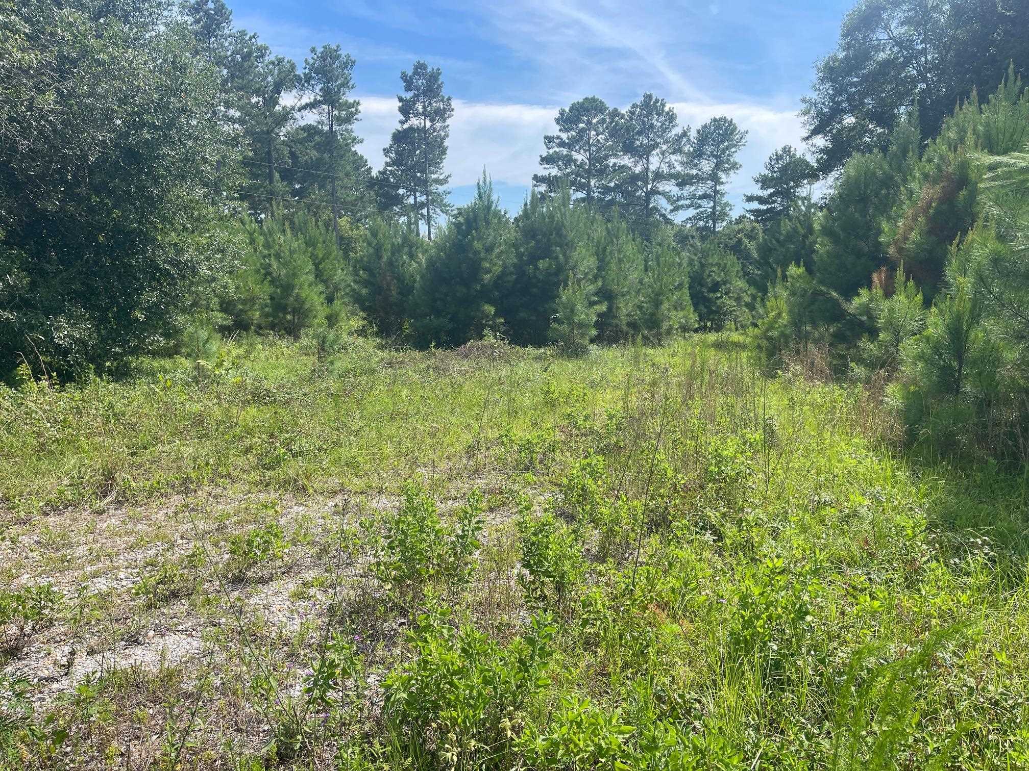 0 Point A Isle Road Andalusia, AL 36421 - Photo 1 of 8 Gallery Image 1