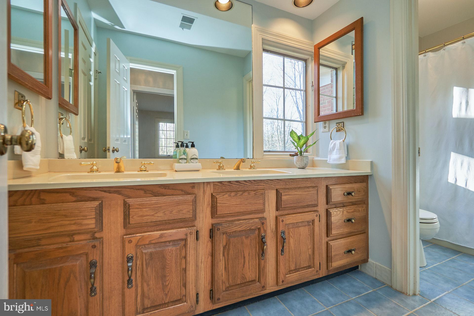 2307 Sawdust Road Vienna, VA 22181 - Photo 39 of 66 Full Hallway bath with dual sinks