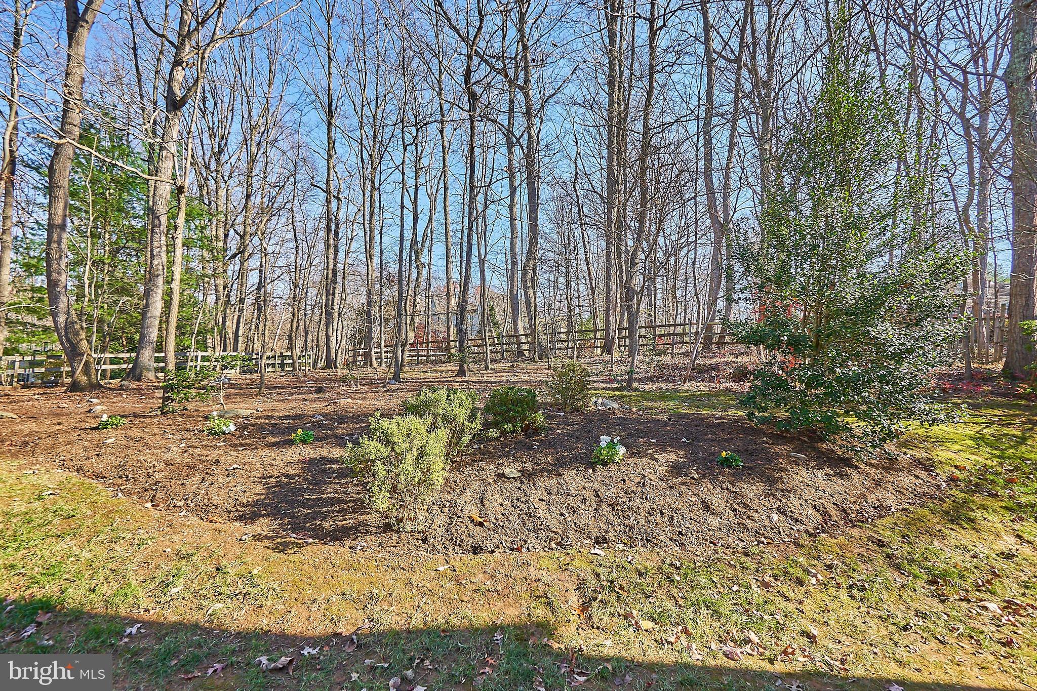 2307 Sawdust Road Vienna, VA 22181 - Photo 62 of 66 Wooded and private