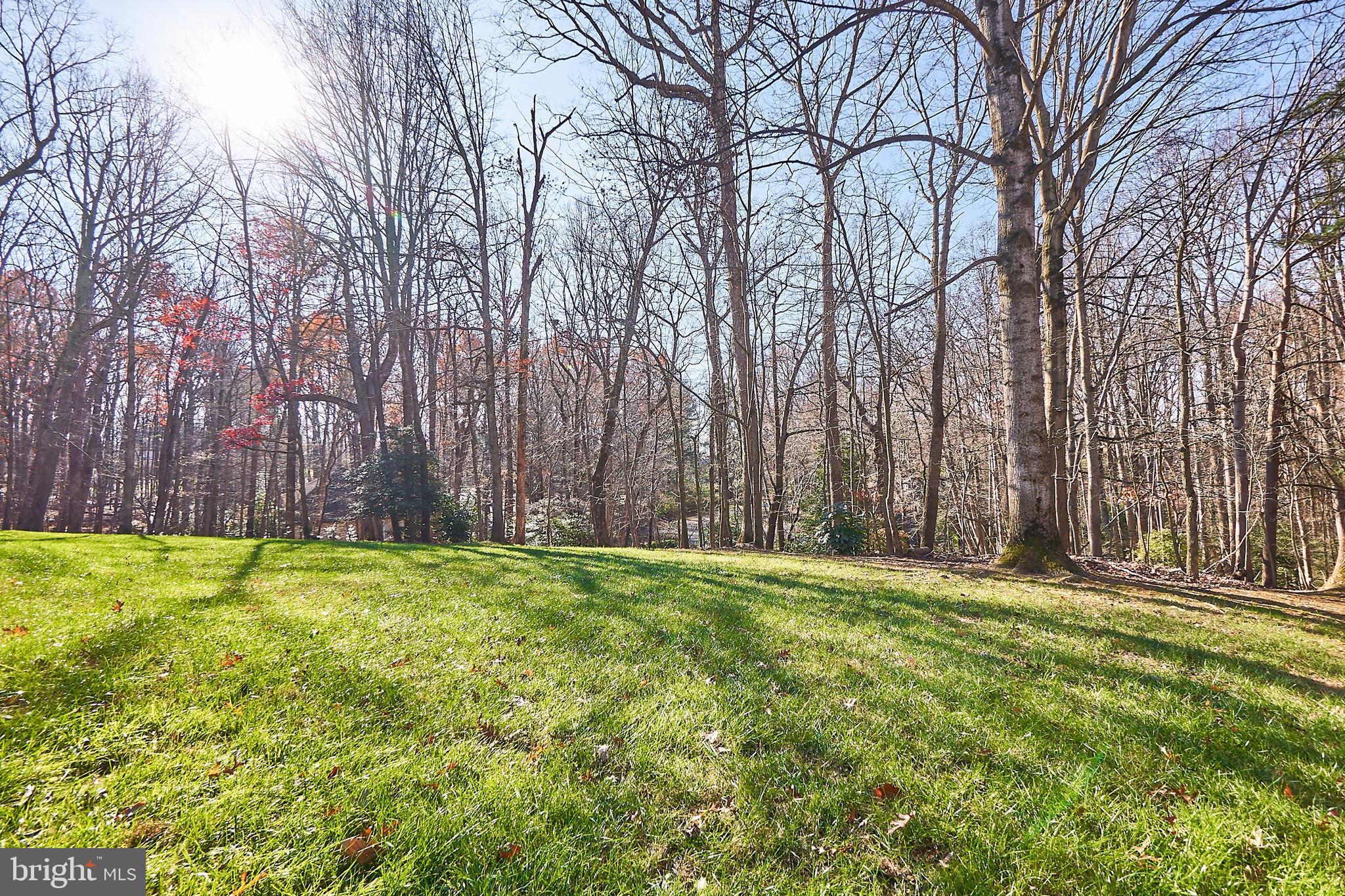 2307 Sawdust Road Vienna, VA 22181 - Photo 63 of 66 Quiet and serene