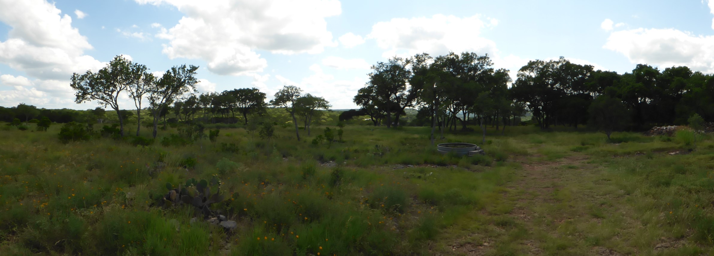 5771 Hilliard Road San Marcos, TX 78666 - Photo 5 of 10 a view of a lush green space