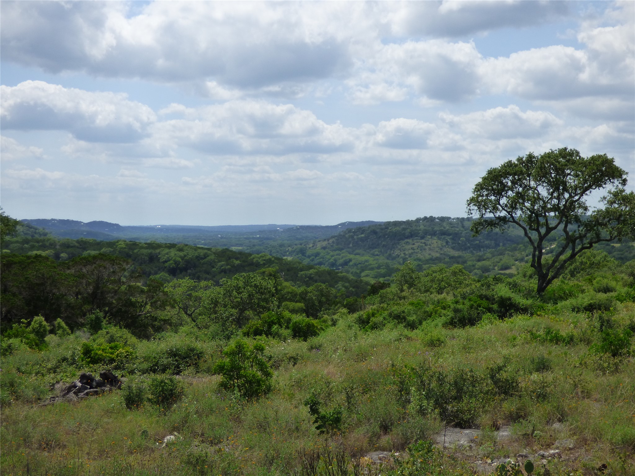5771 Hilliard Road San Marcos, TX 78666 - Photo 6 of 10 a view of a green field with lots of bushes