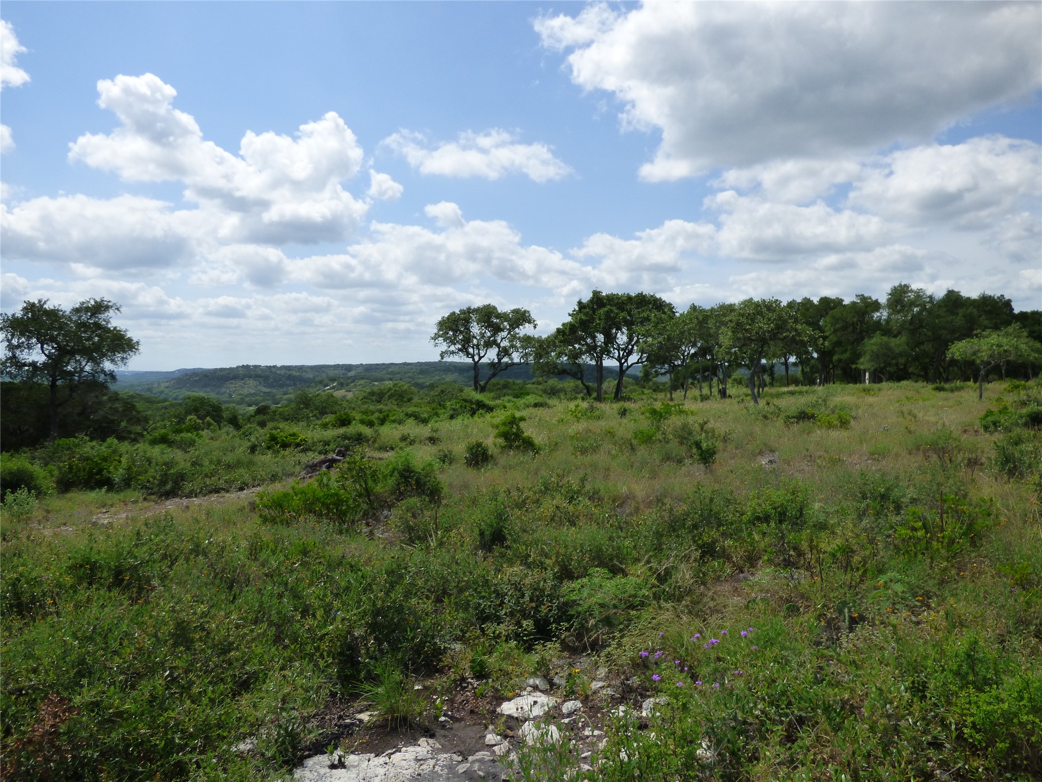 5771 Hilliard Road San Marcos, TX 78666 - Photo 8 of 10 a view of a city and a lots of trees