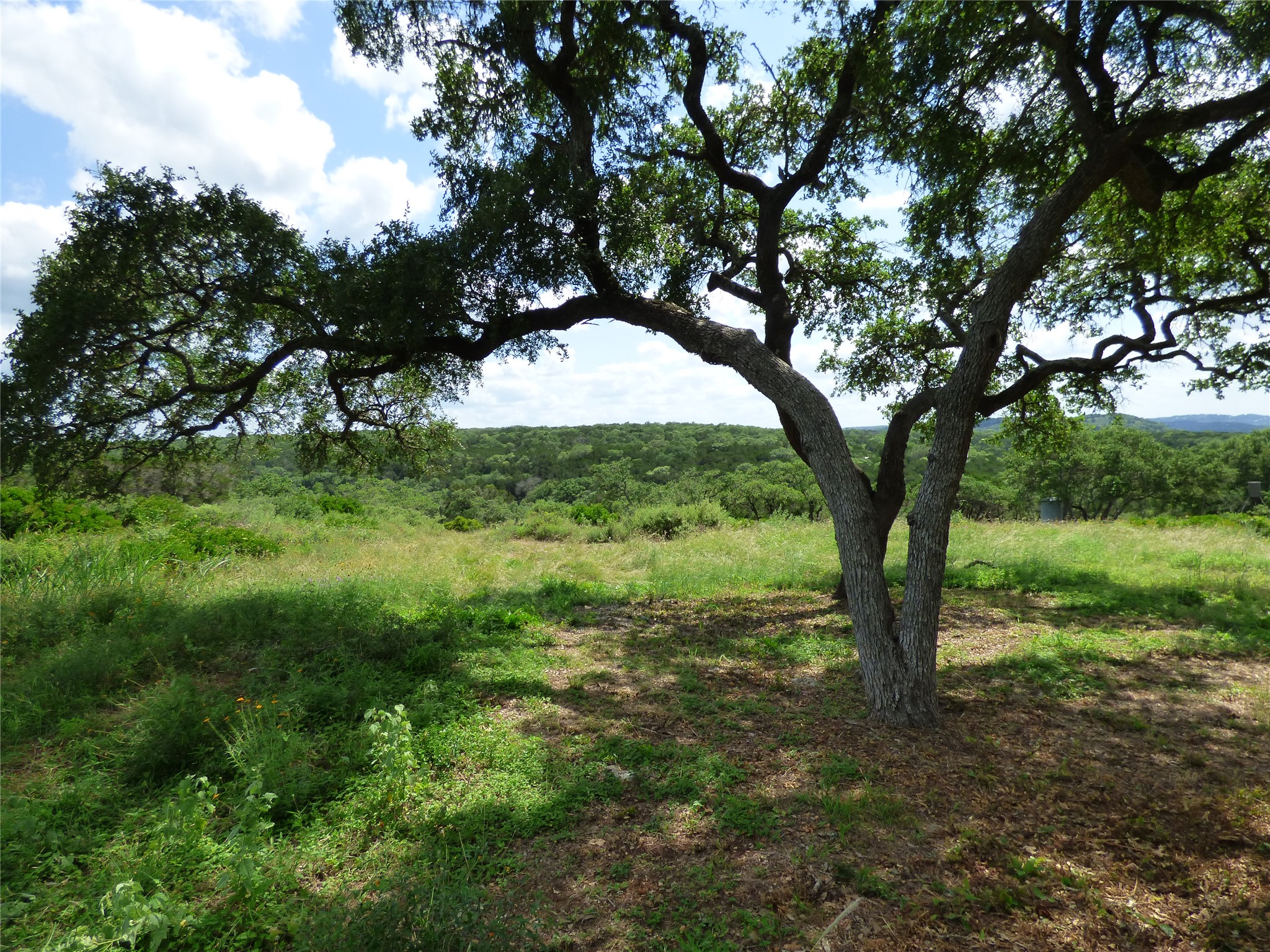 5771 Hilliard Road San Marcos, TX 78666 - Photo 9 of 10 a view of outdoor space with deck and yard