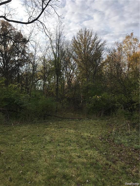 0 Farmbrook Road Southfield, MI 48034 - Photo 1 of 1