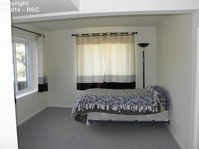 11330 Wakely Road Colorado Springs, CO 80908 - Photo 19 of 23 Bedroom Lower Level
