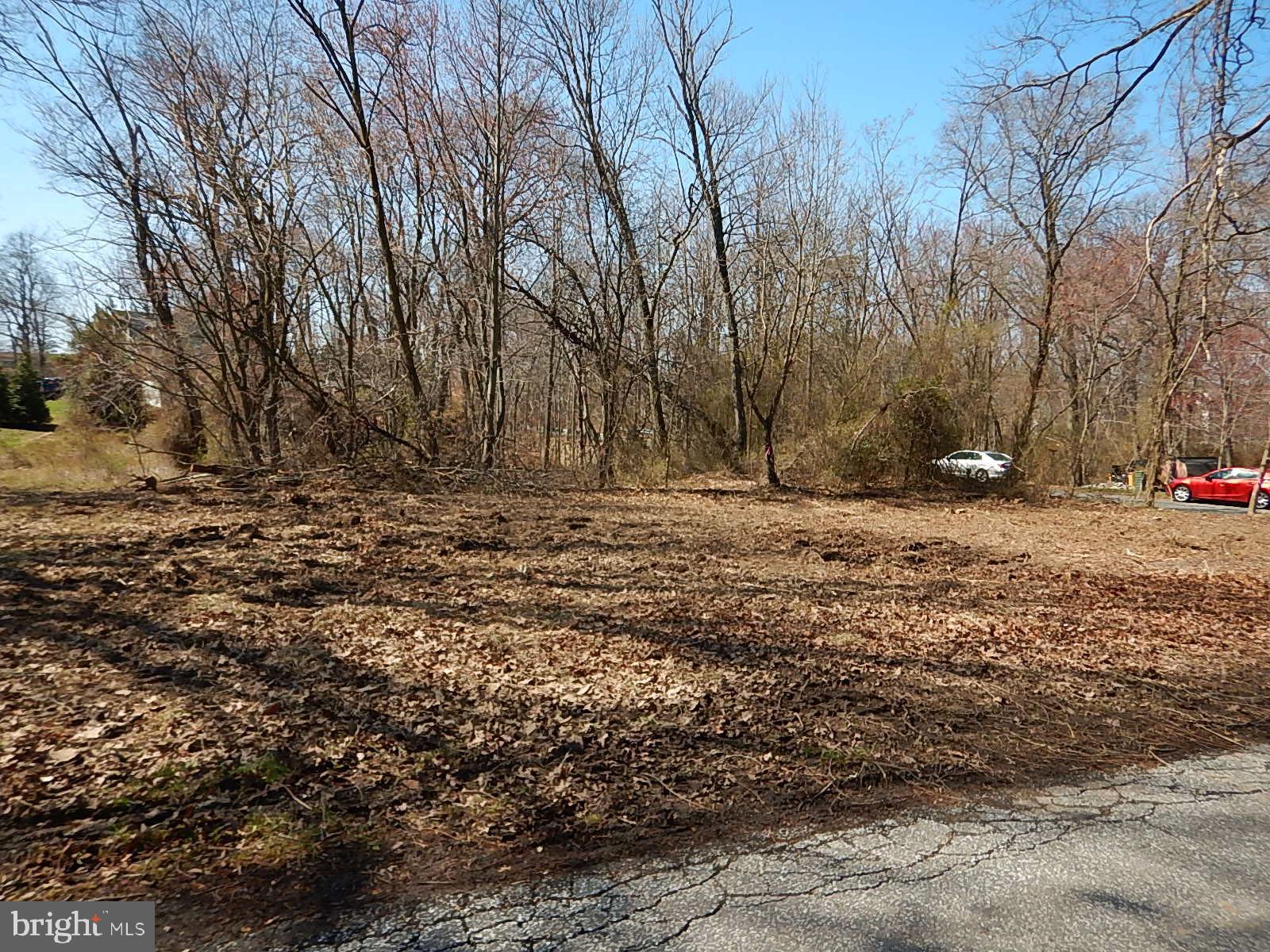 Silver Lake Drive Perry Hall, MD 21128 - Photo 1 of 7 a view of dirt yard with trees