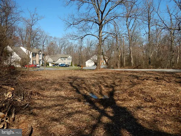 a view of yard with trees